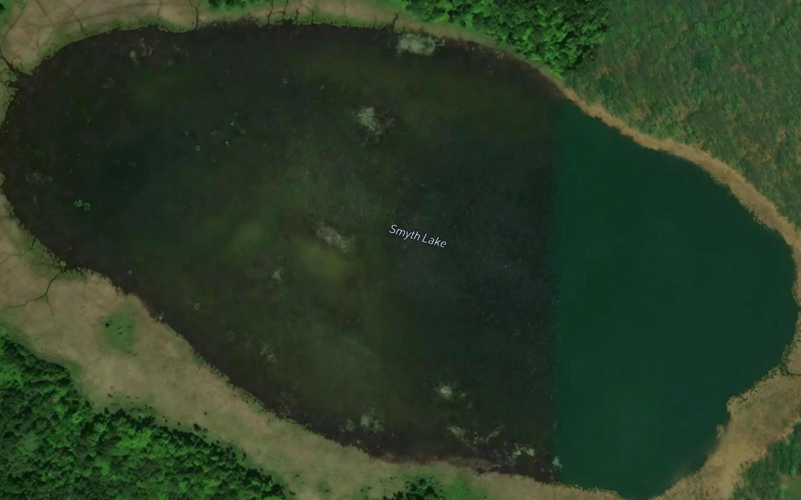 Smyth Lake