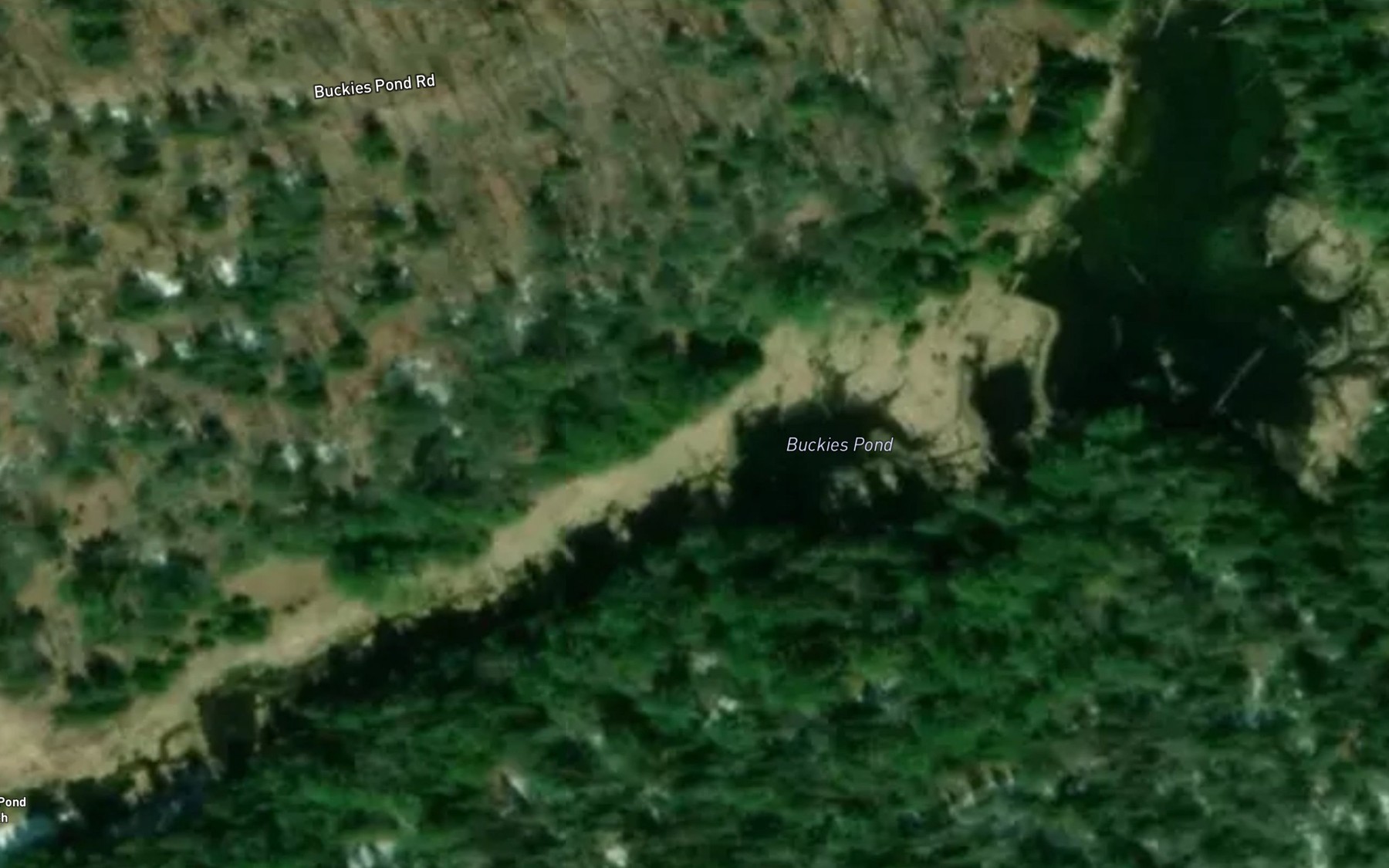 Satellite map of the Buckies Pond