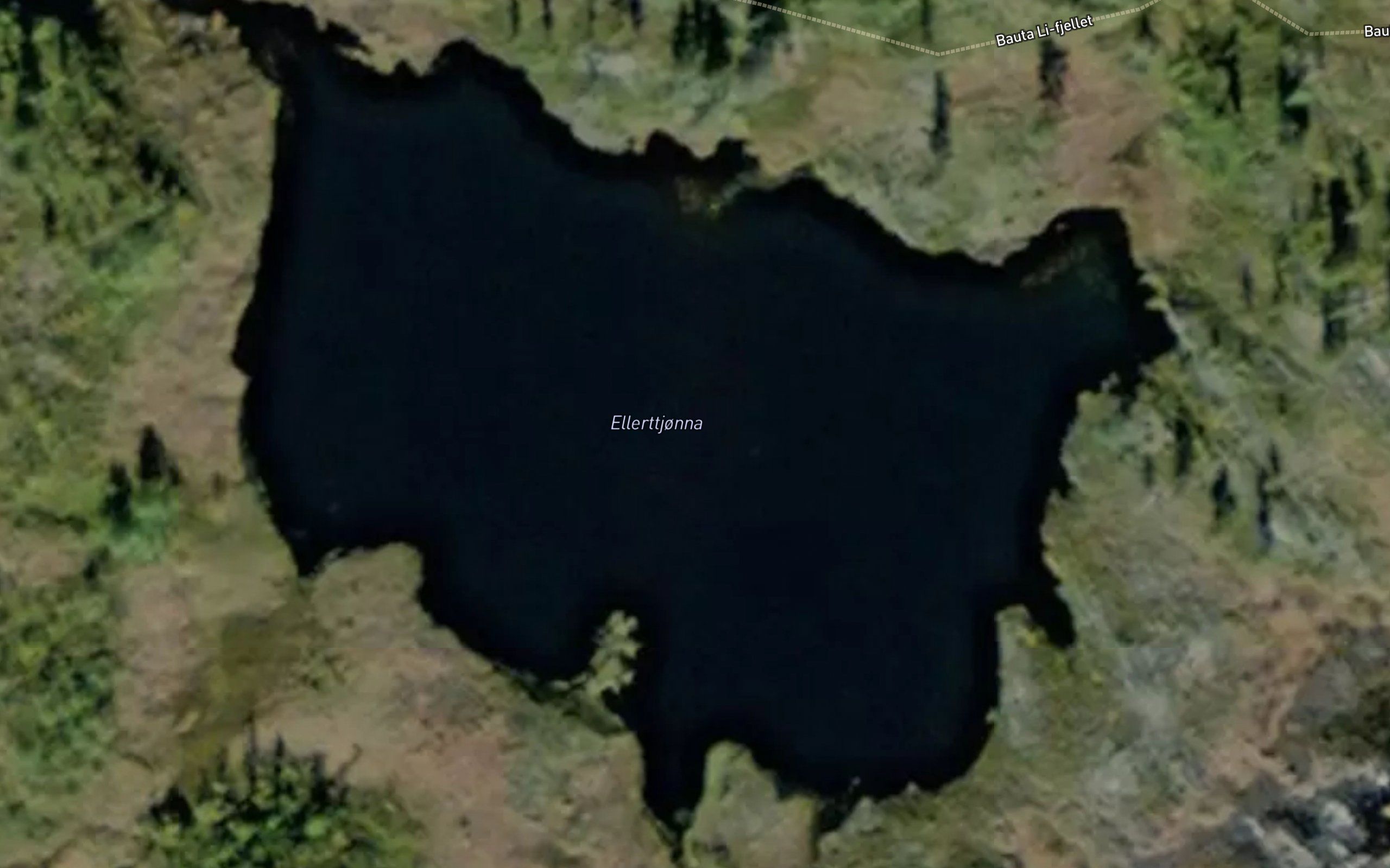 Ellerttjonna