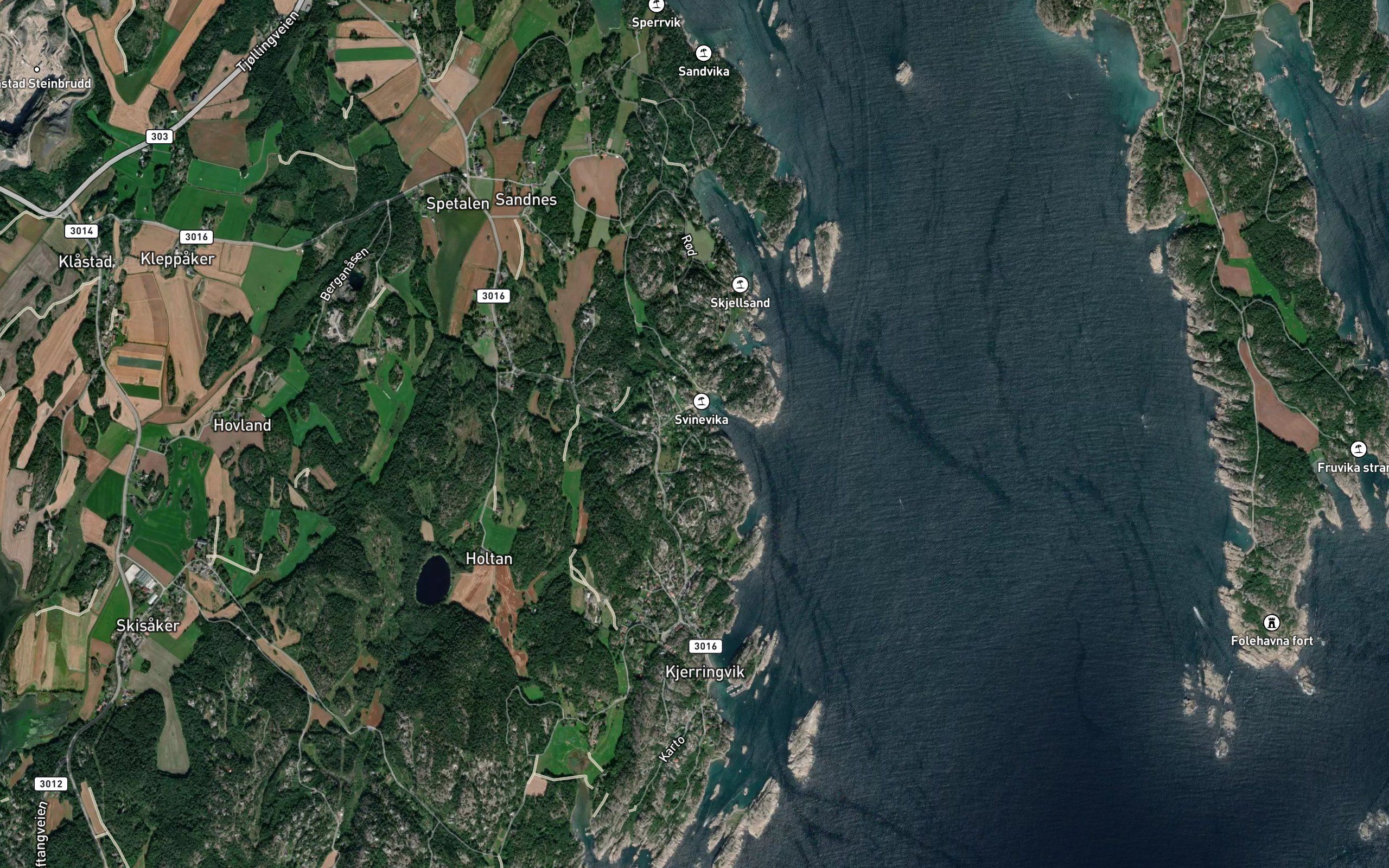 Svinevika