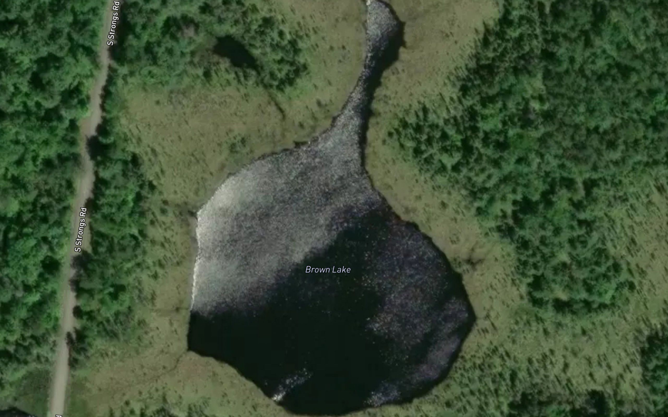 Brown Lake