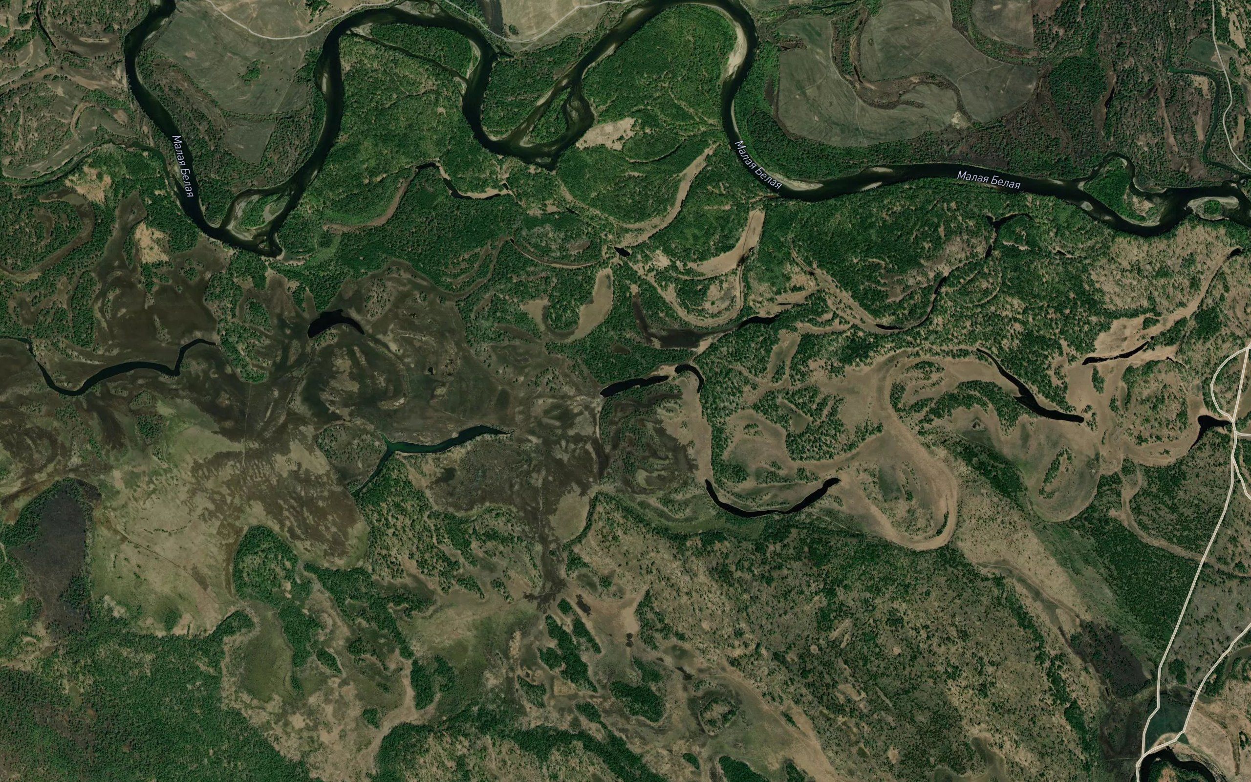 Ozero Svetloye