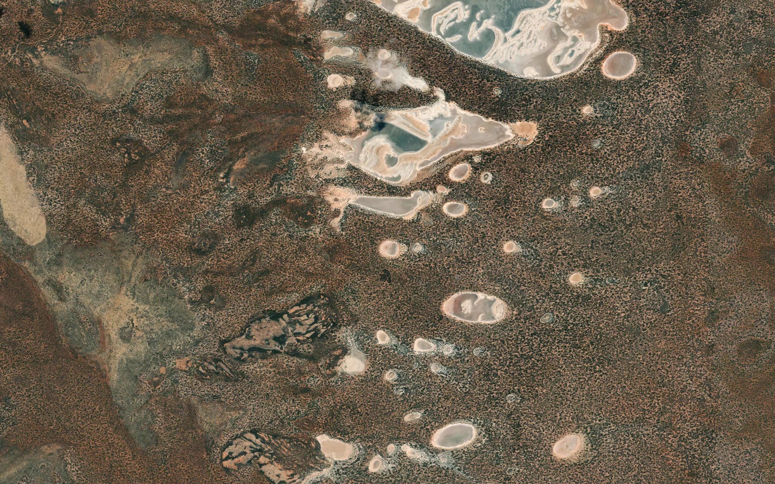 Beetle Lake