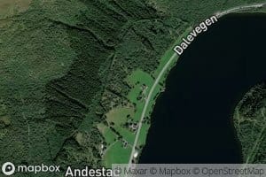 Kvennhusgrova
