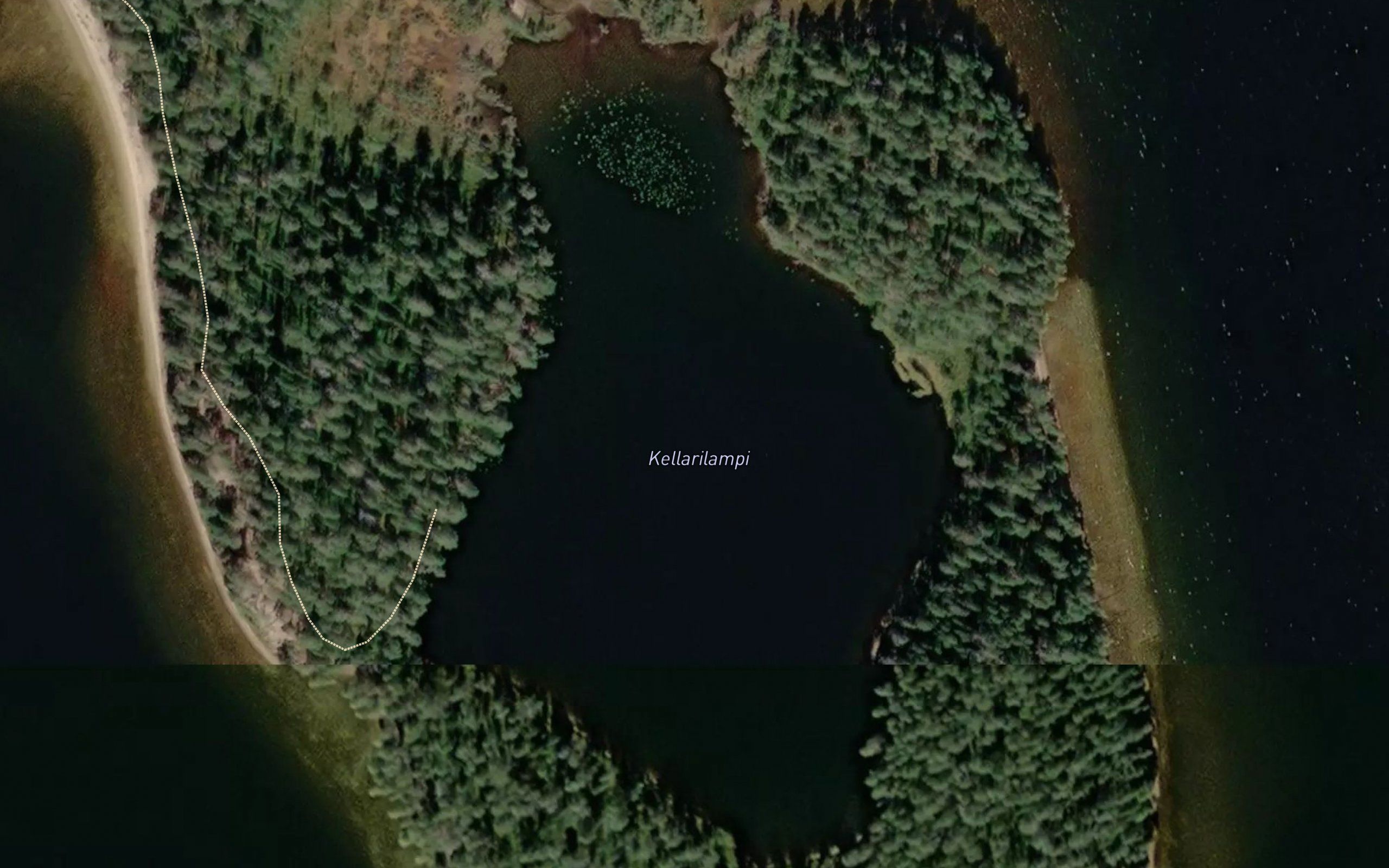 Kellarilampi