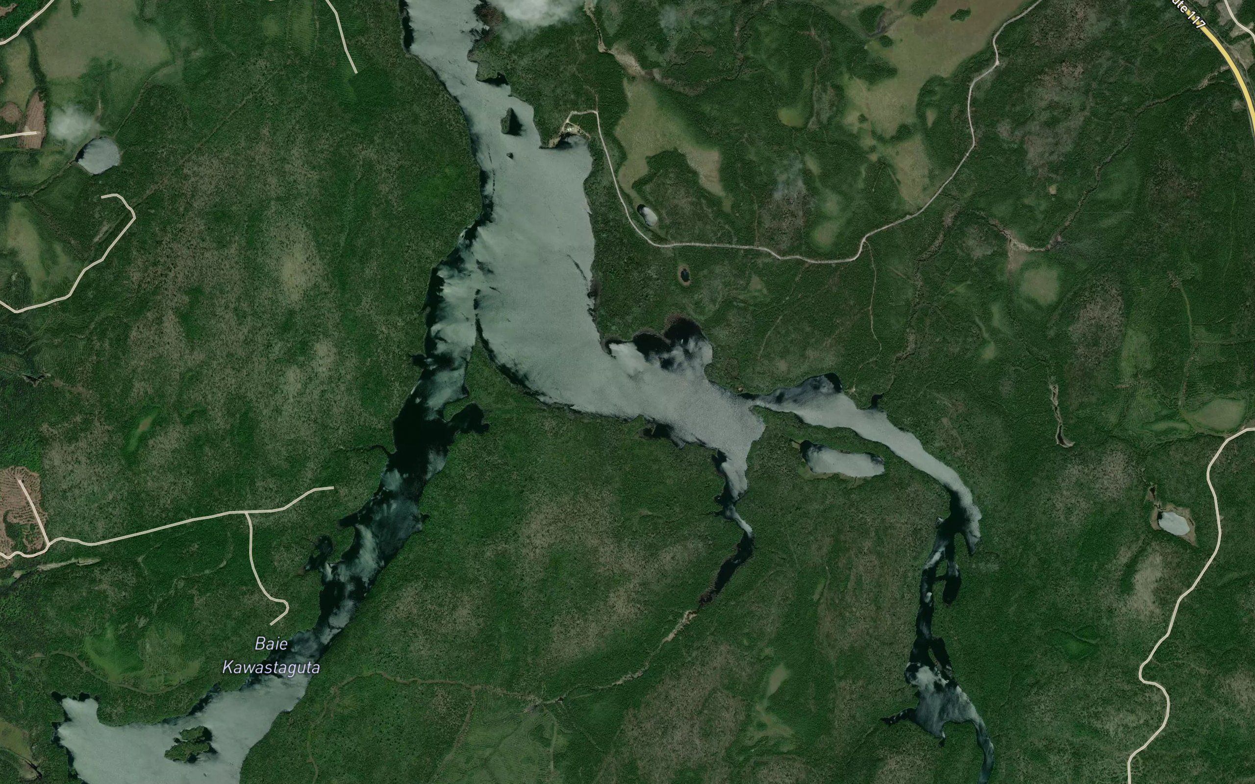 Baie Kwekogoni