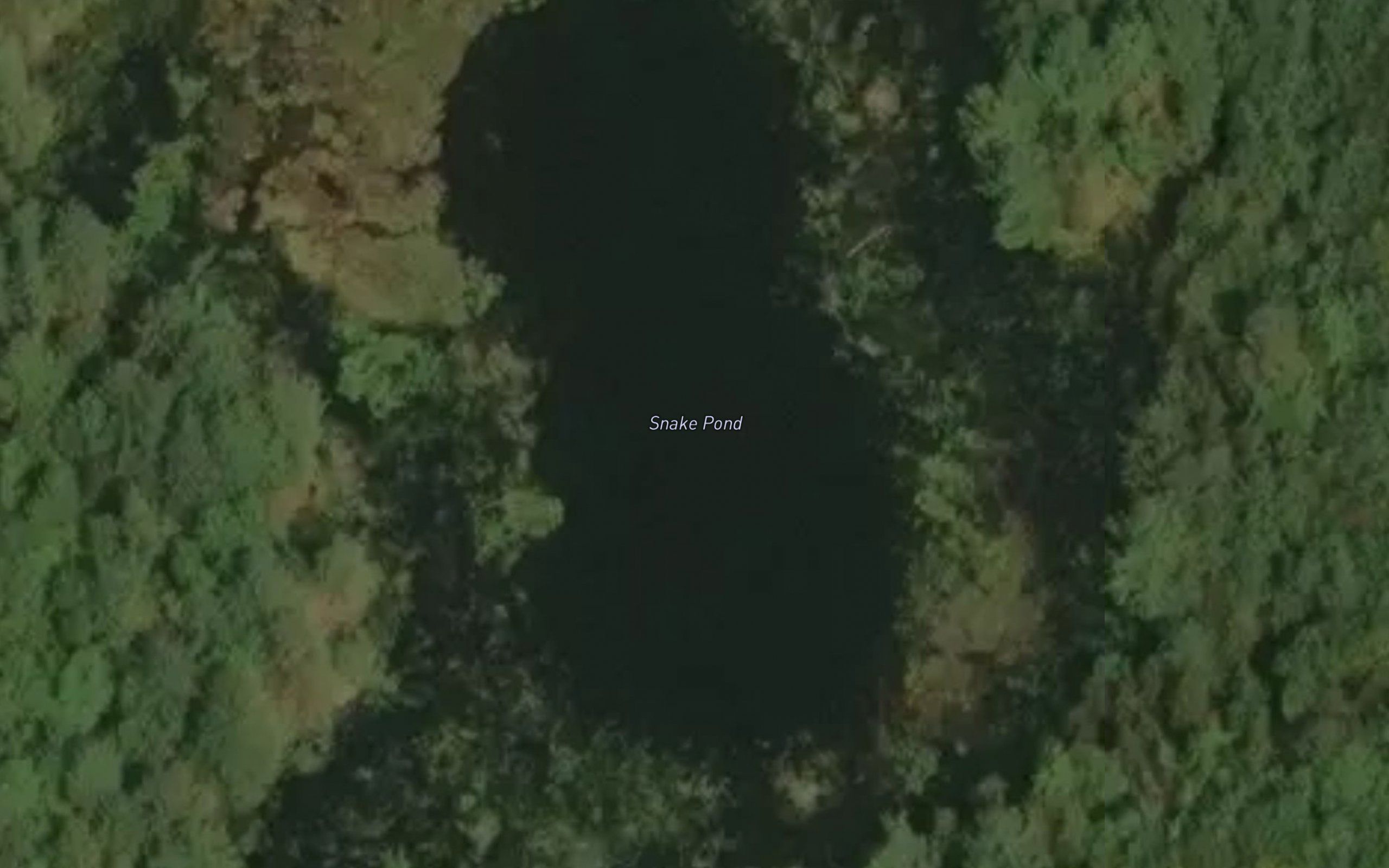 Snake Pond