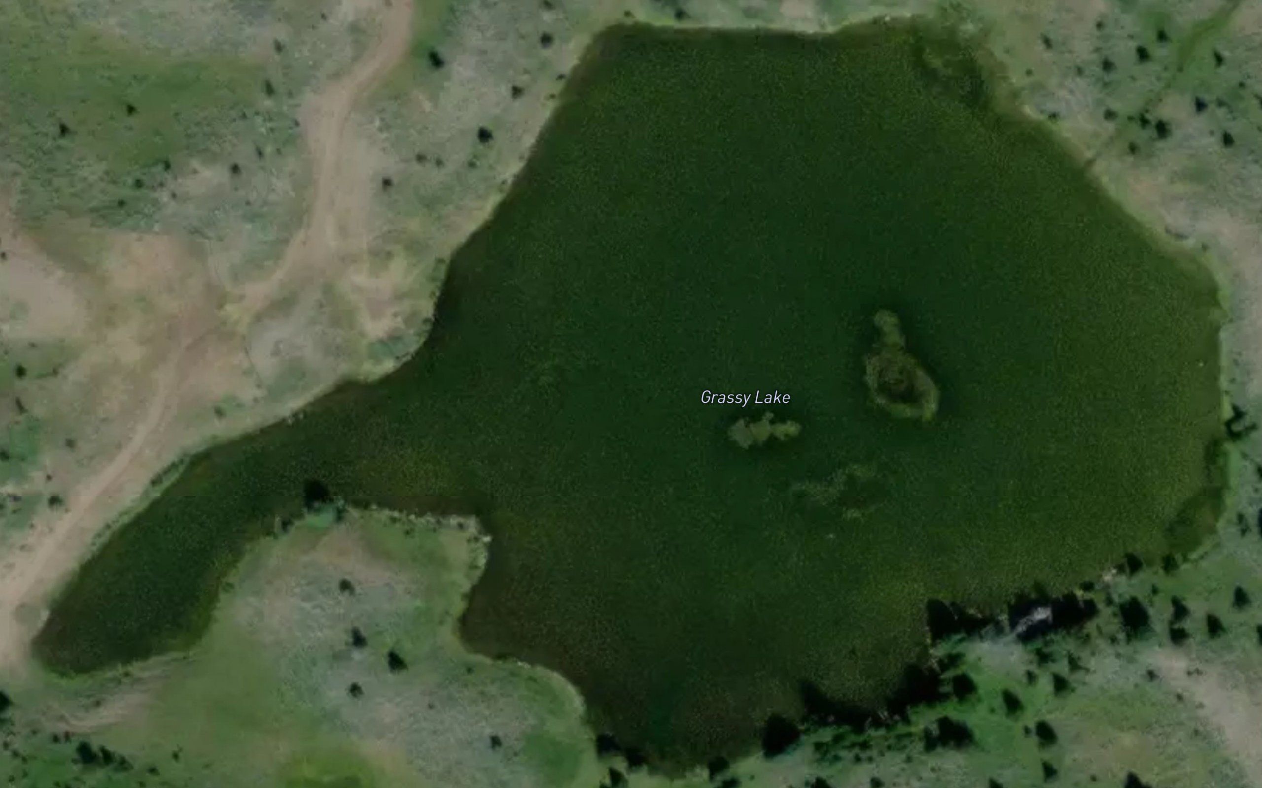 Grassy Lake