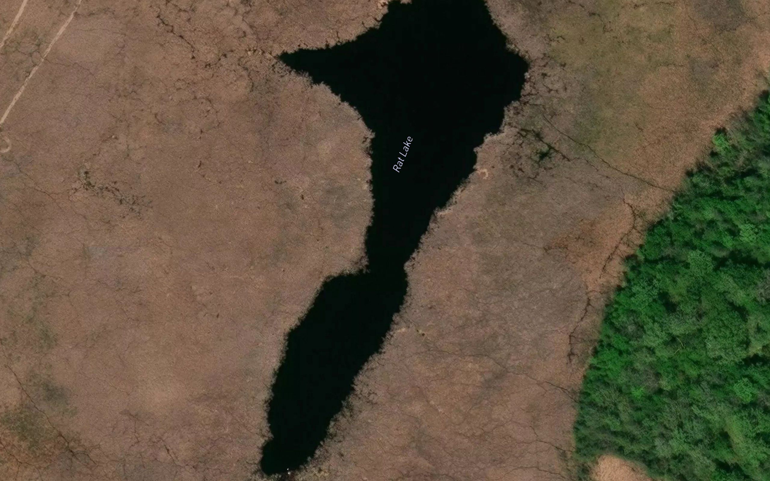 Rat Lake