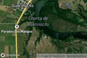 Charca Guarinocito