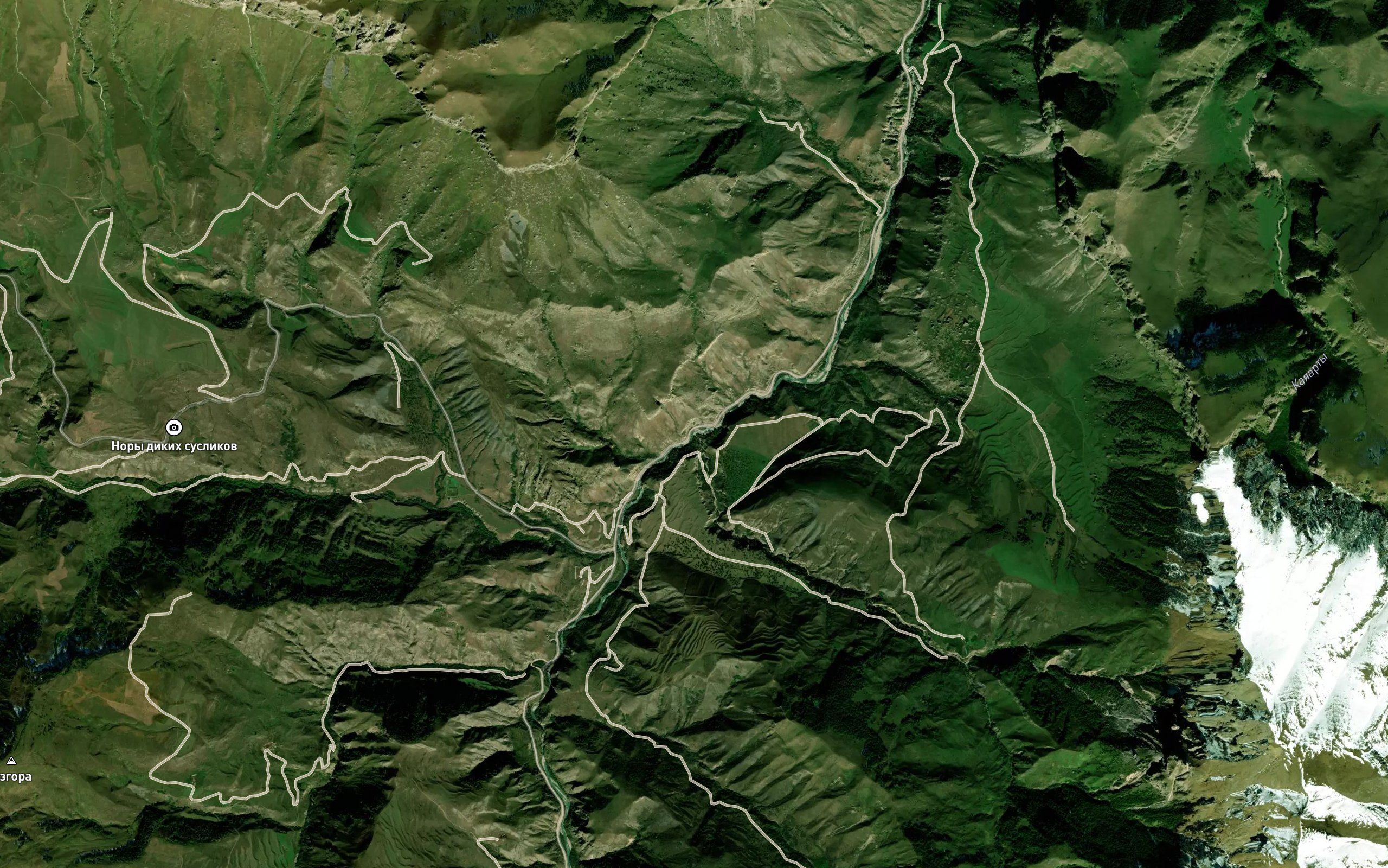 Dzhorasu