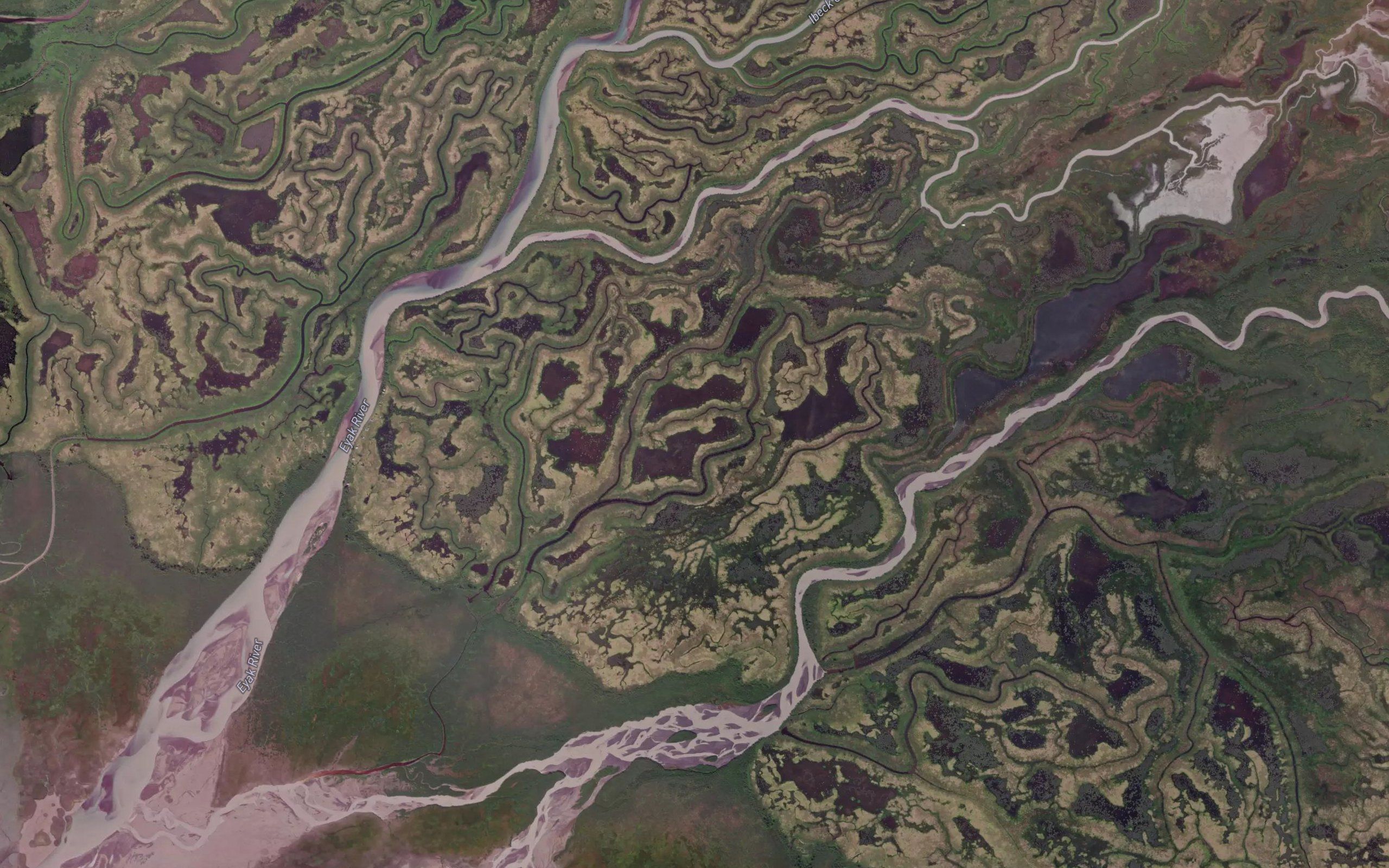 Joe Reeves Slough