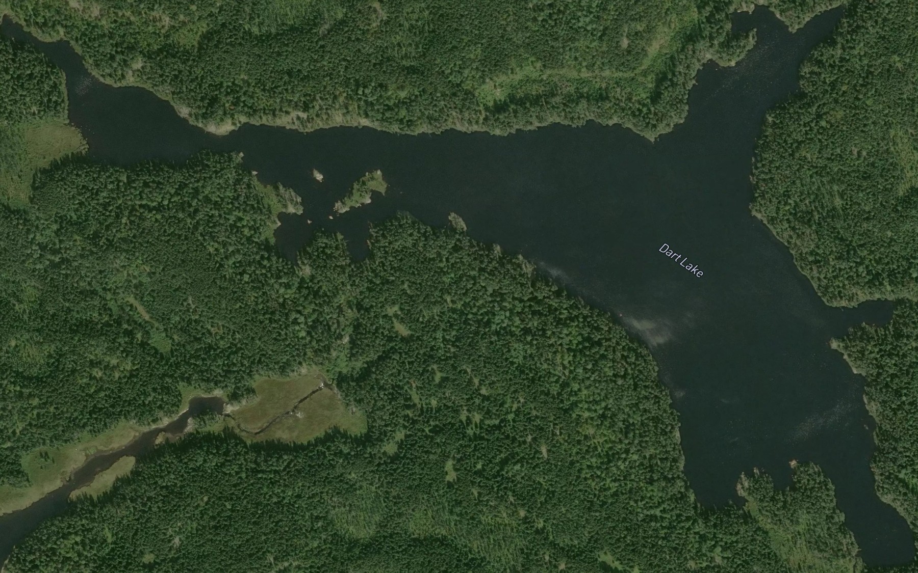 Satellite map of the Dart Lake