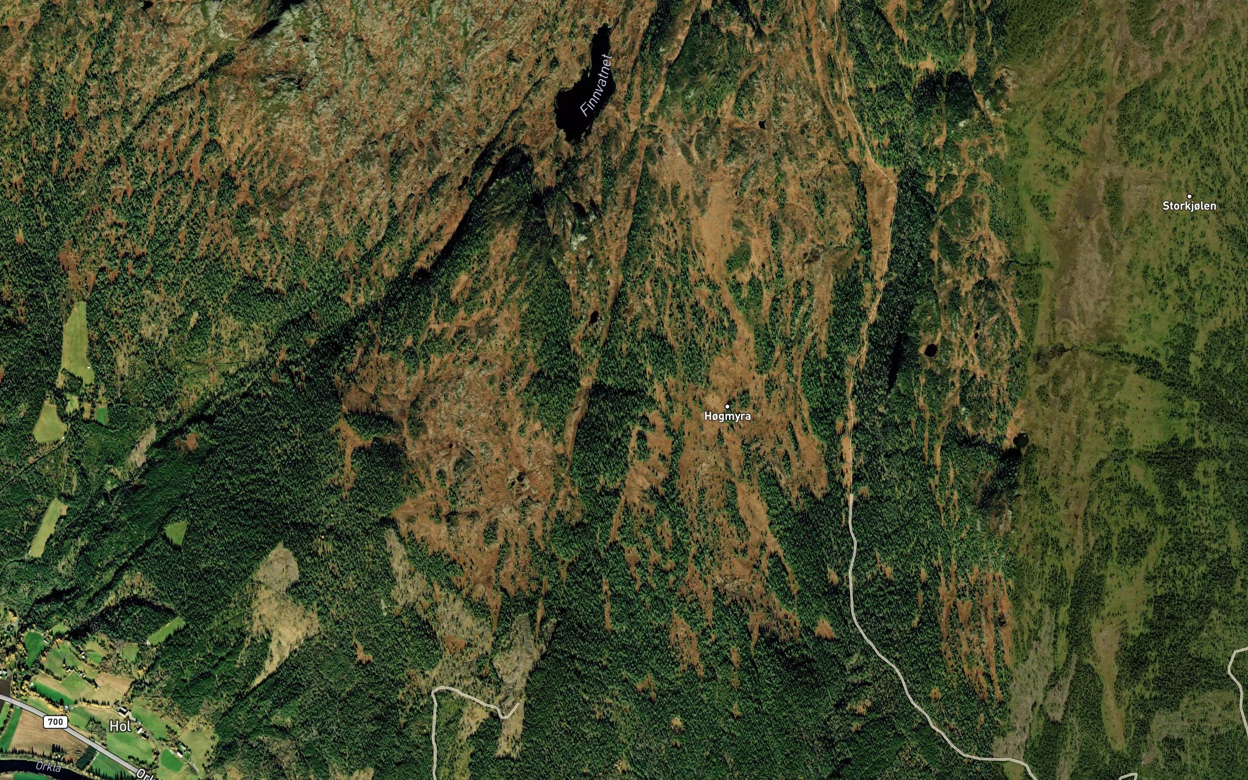 Fjellslaettbekken