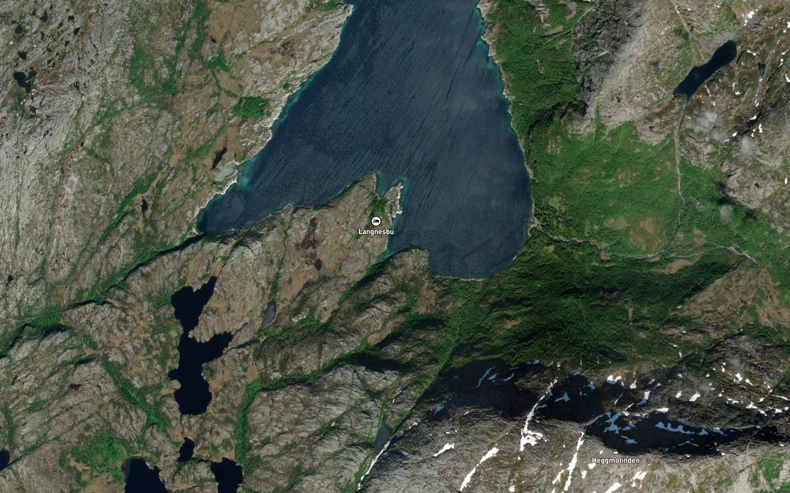 Tommervika