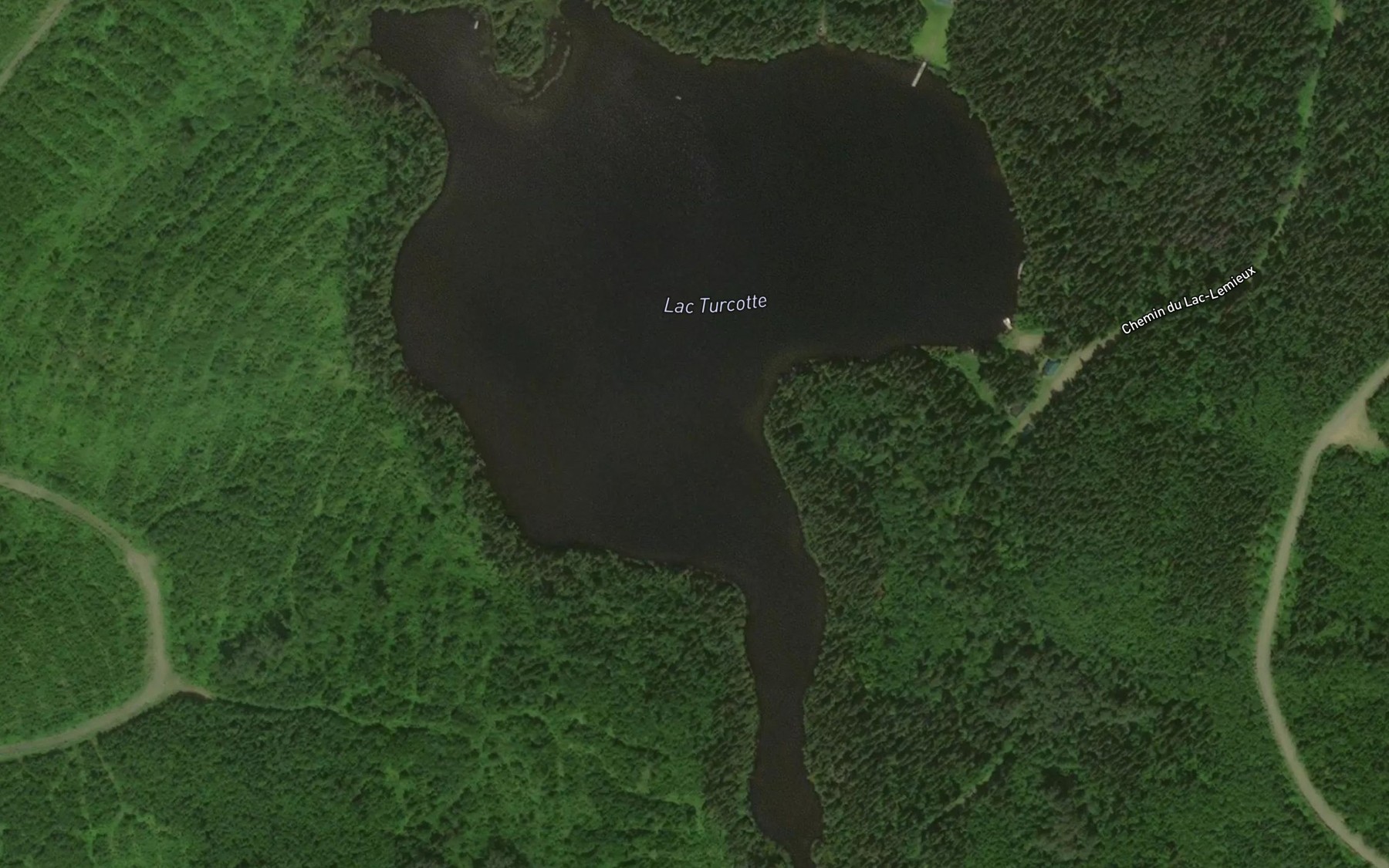 Satellite map of the Lac Turcotte