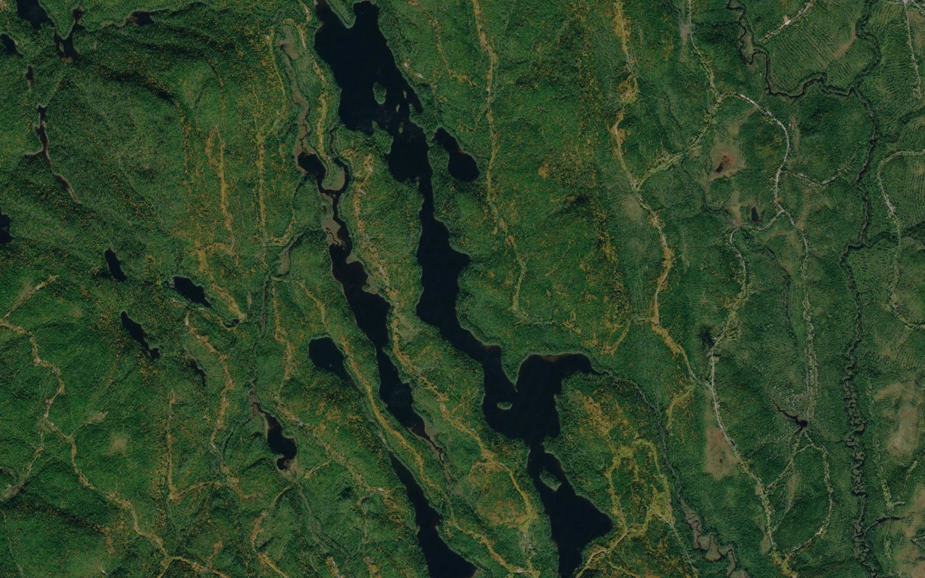 Satellite map of the Lac Primeau