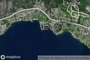 Klubbavika