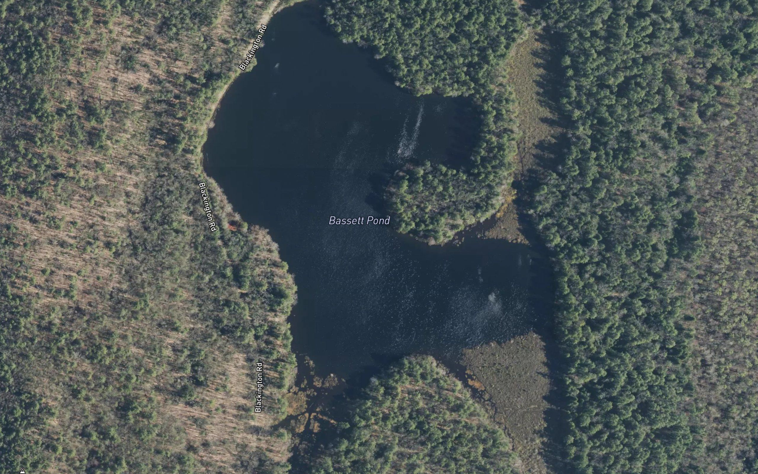 Bassett Pond