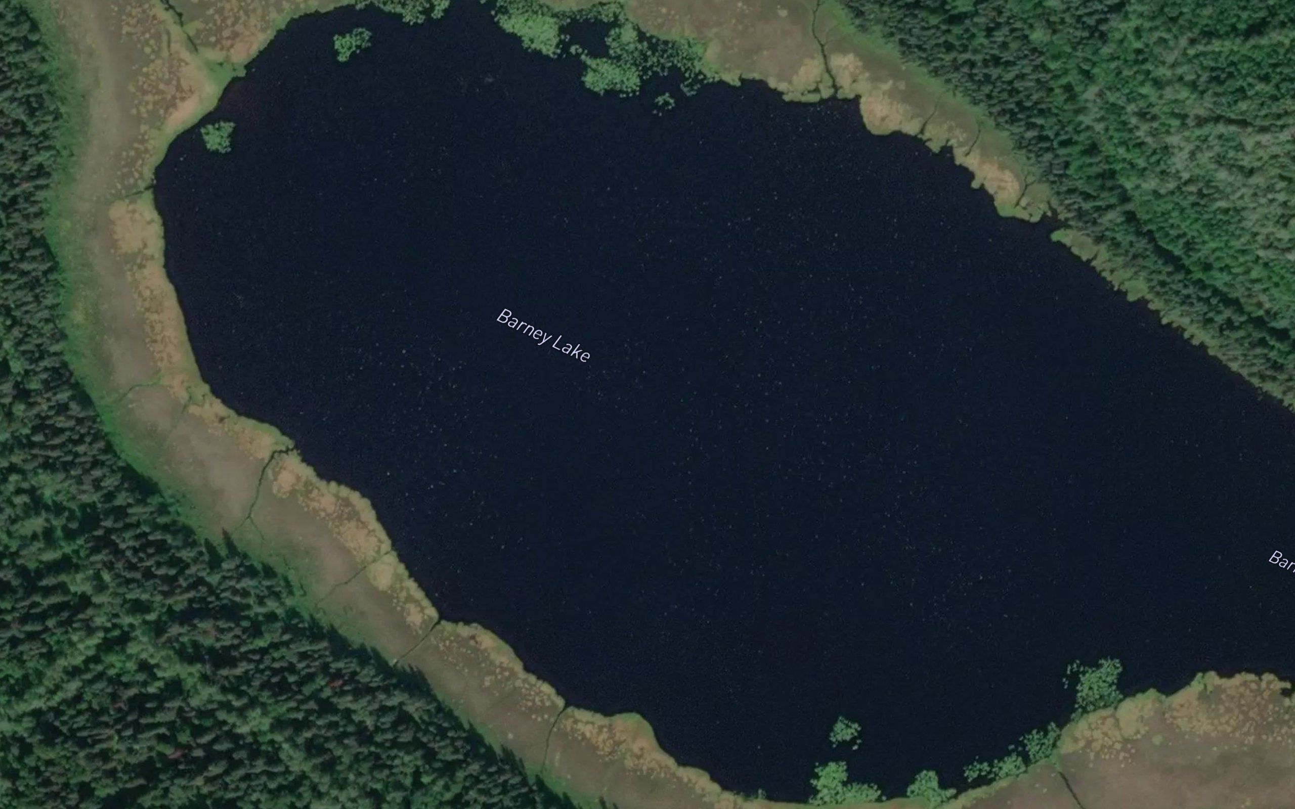 Barney Lake