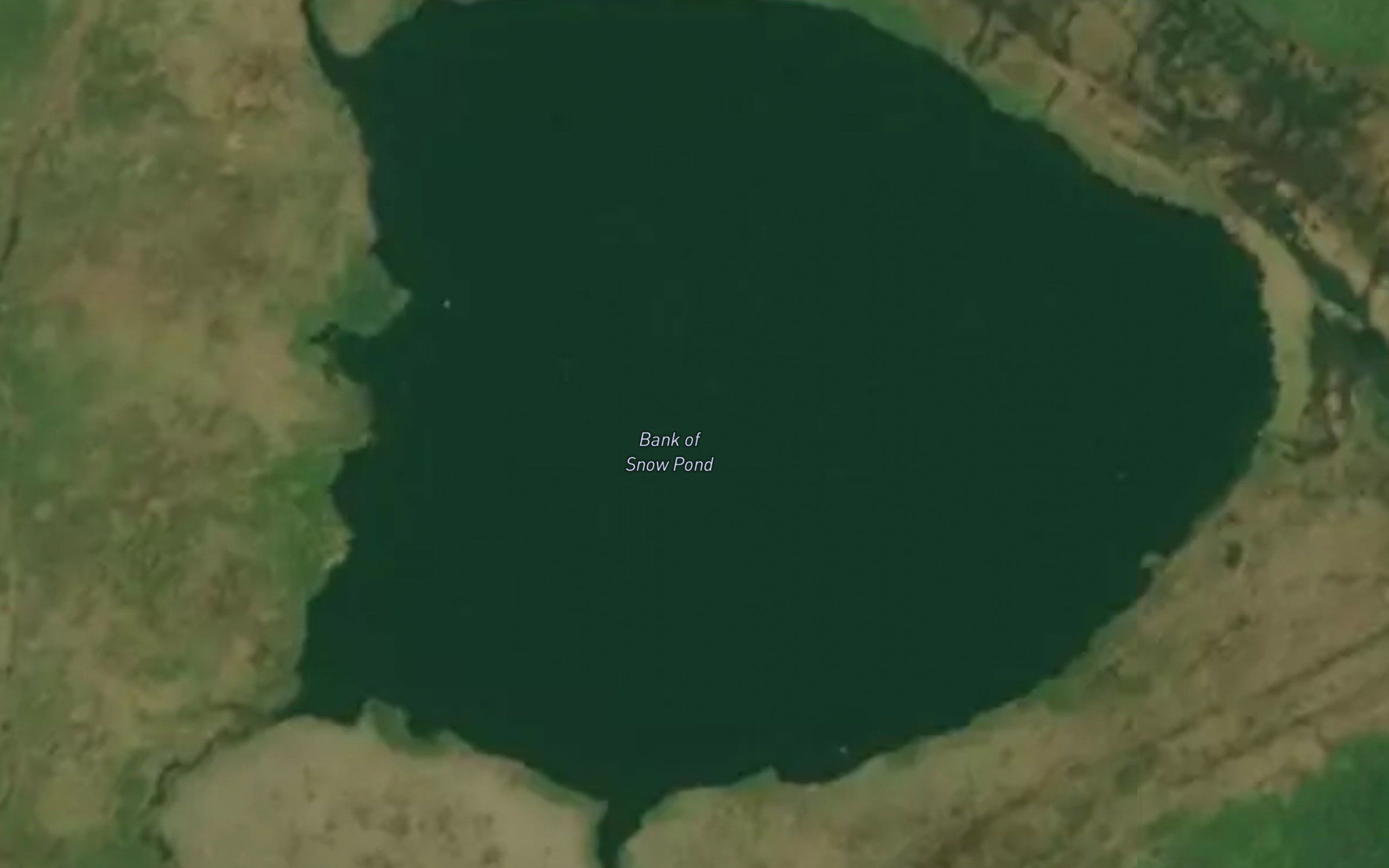 Bank of Snow Pond