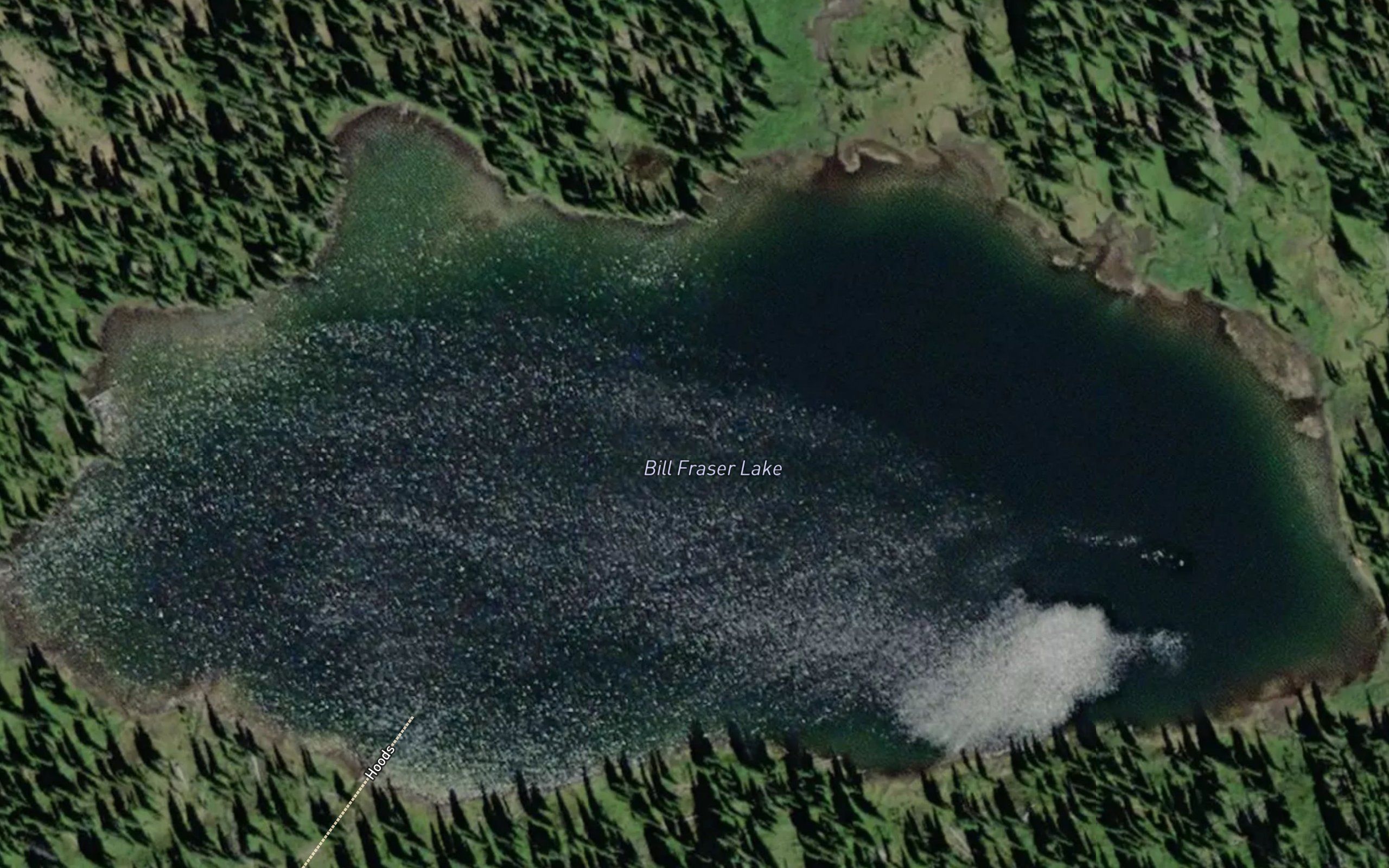 Bill Fraser Lake