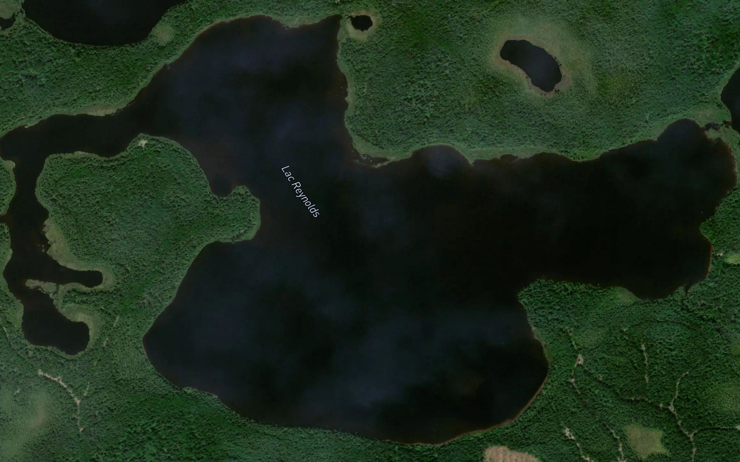 Lac Reynolds