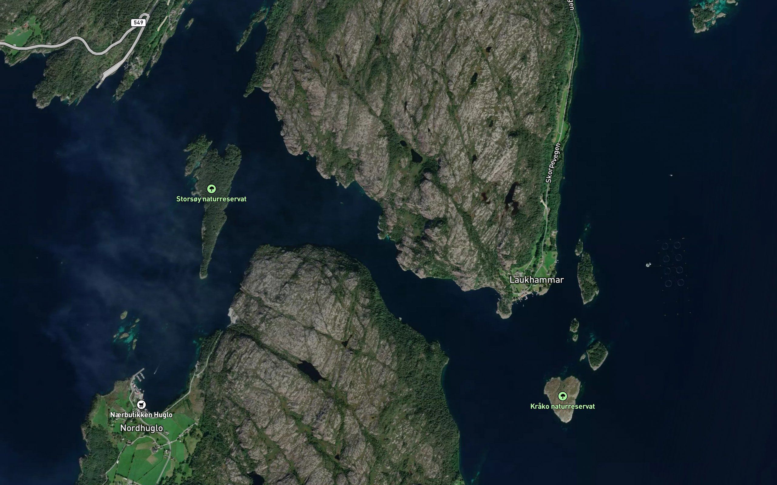 Skipavik
