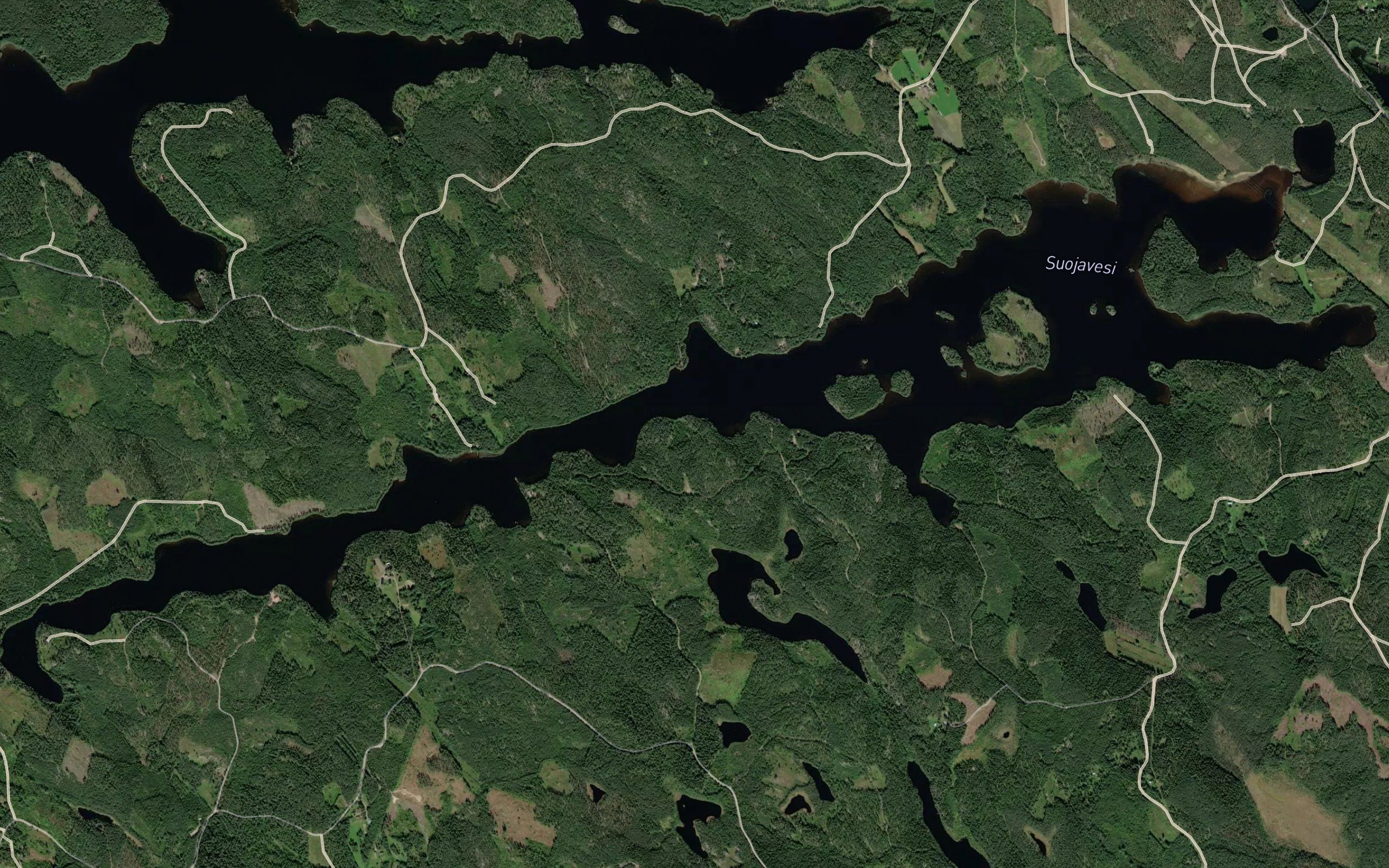 Suojavesi