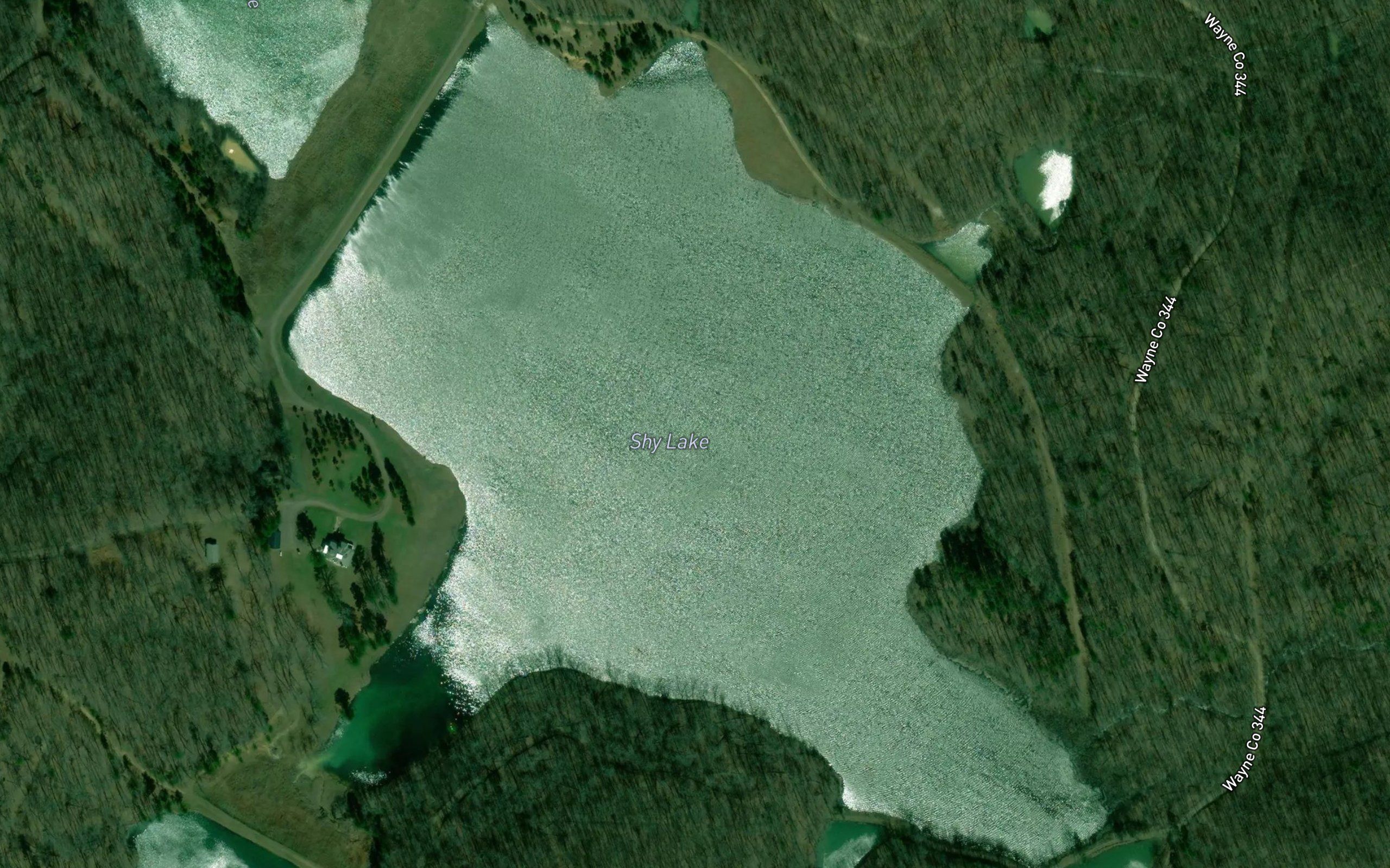 Shy Lake
