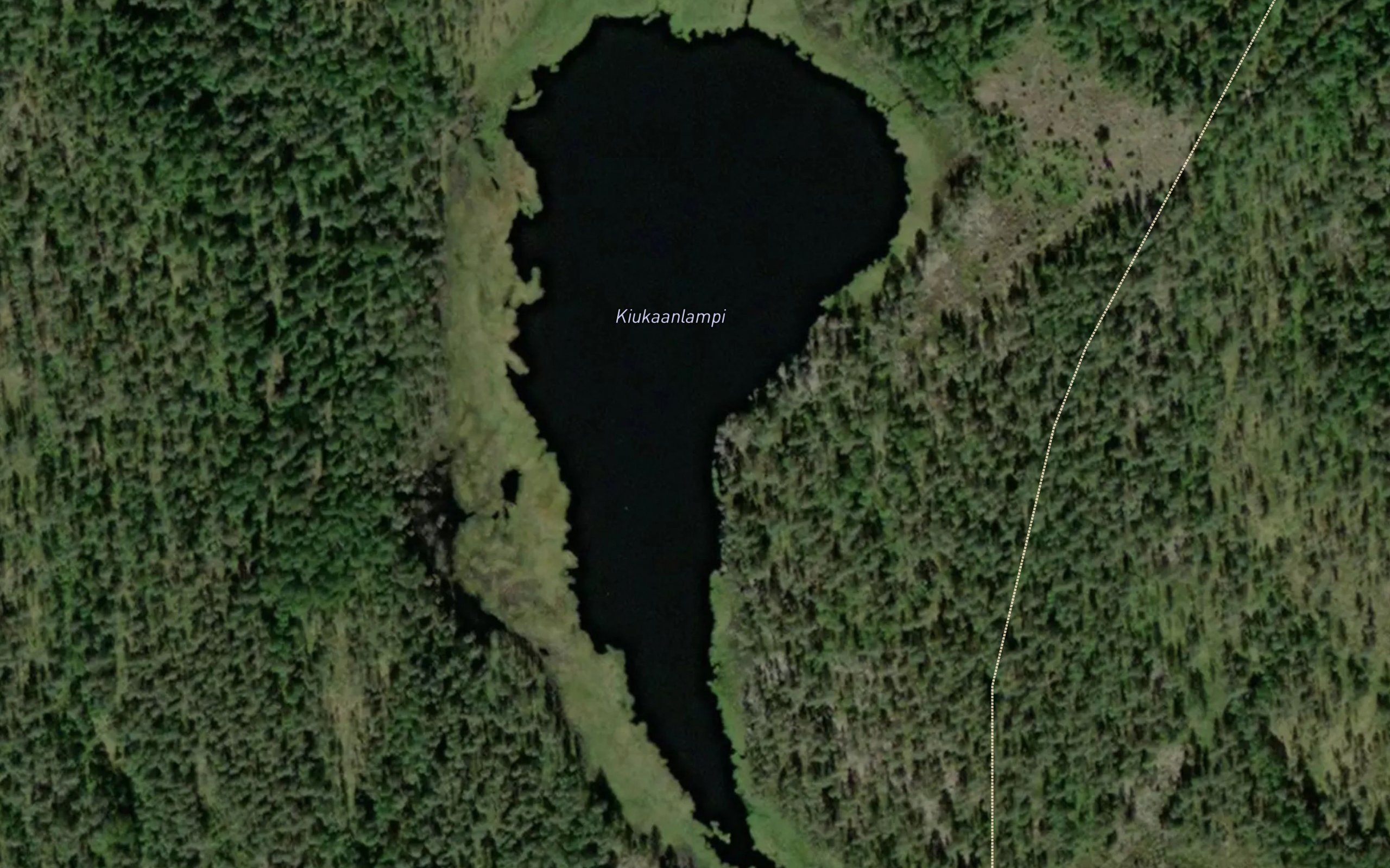 Kiukaanlampi