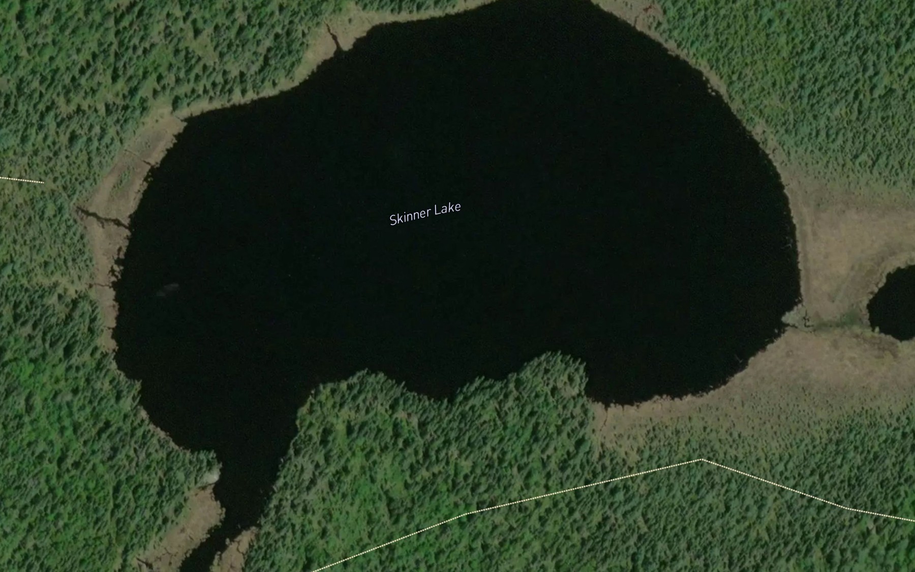 Satellite map of the Skinner Lake