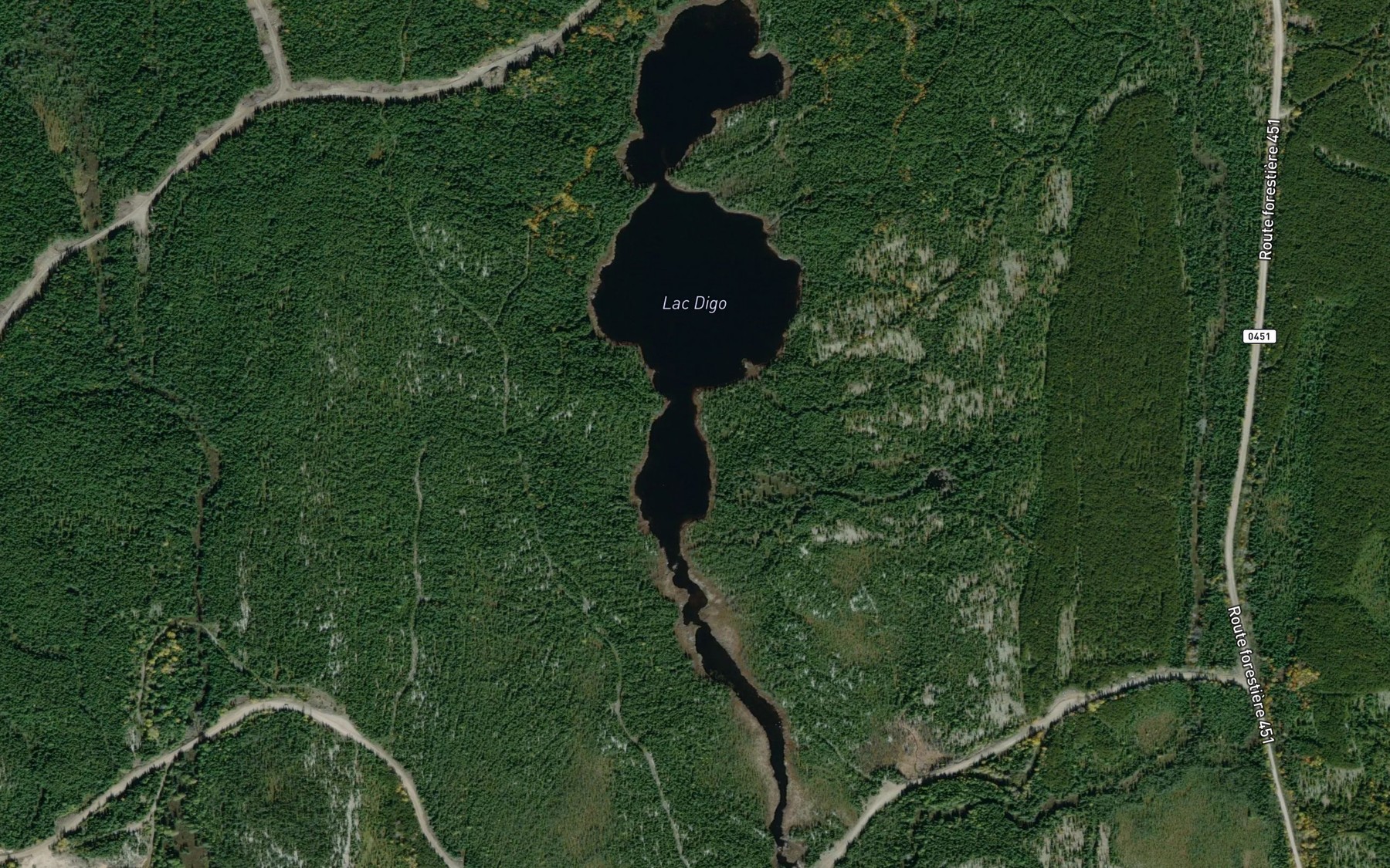 Satellite map of the Lac Digo