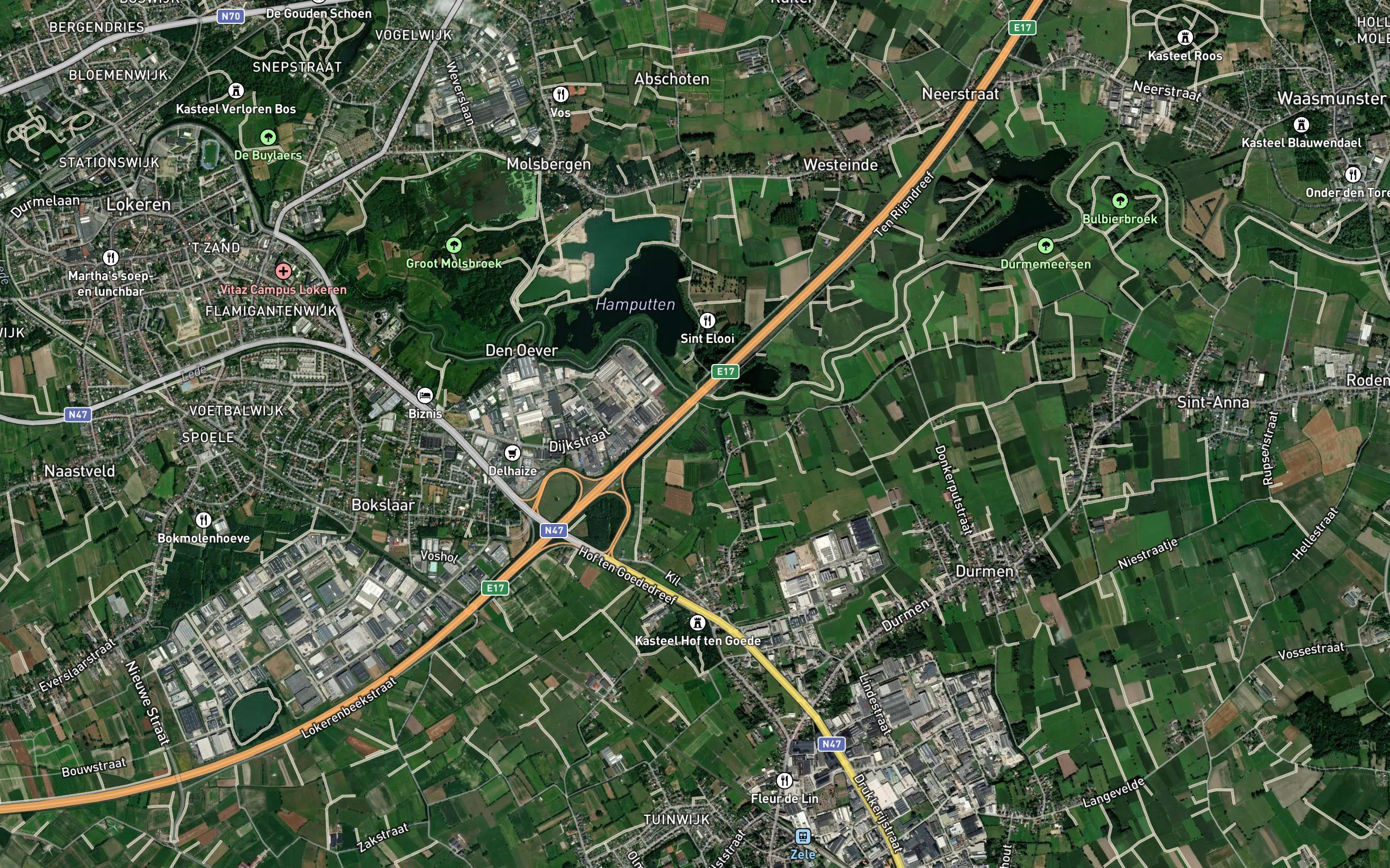 Zelebeek