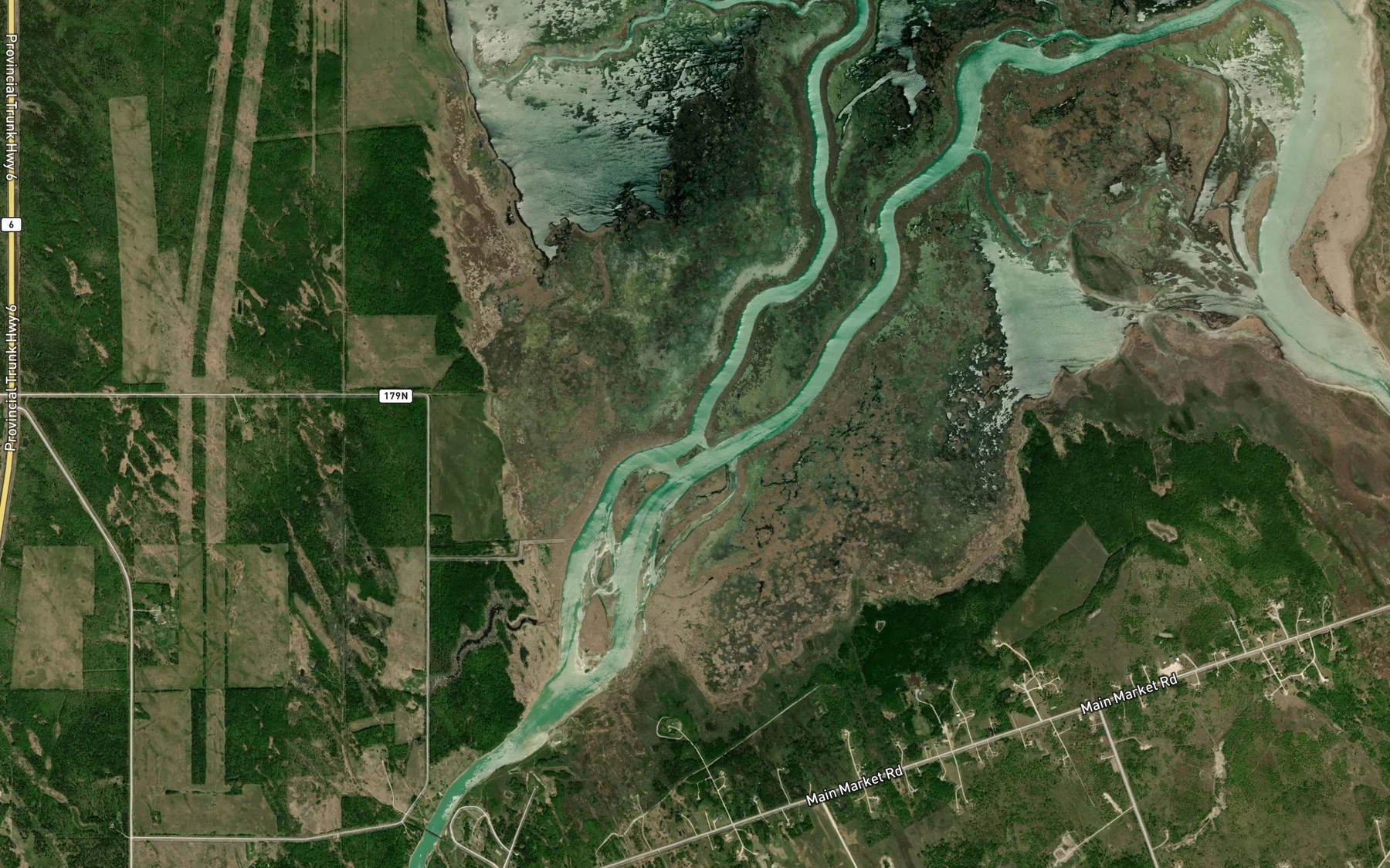 Satellite map of the Branching River
