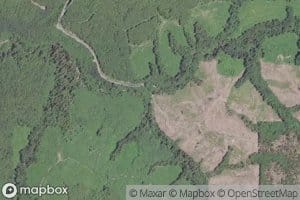 South Fork Maxfield Creek