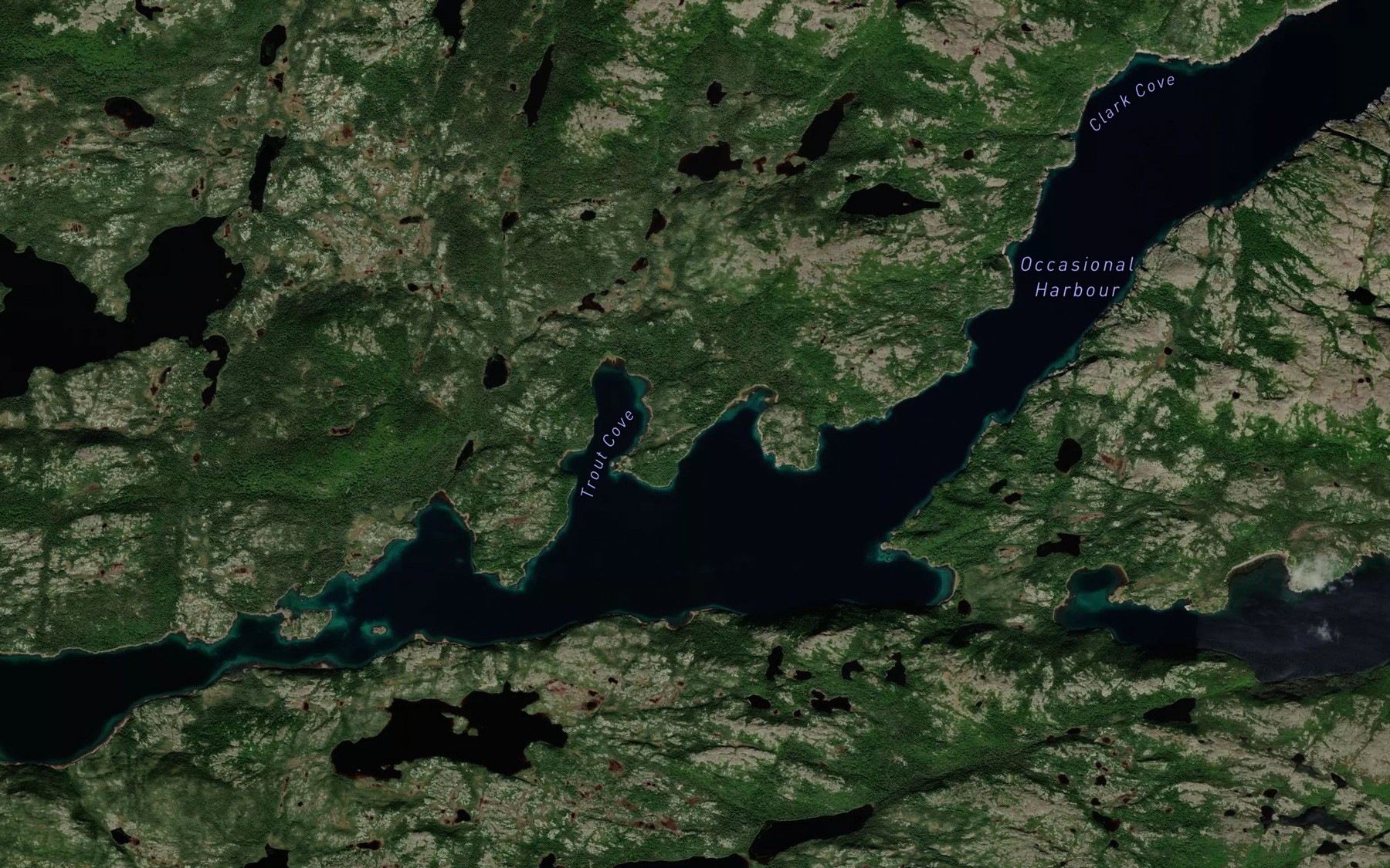 Satellite map of the Trout Cove