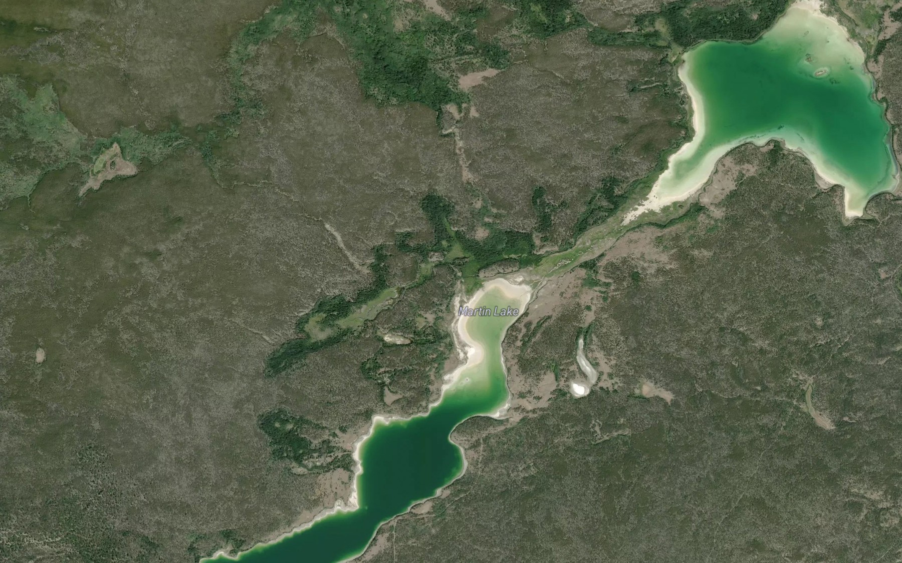 Satellite map of the Martin Lake