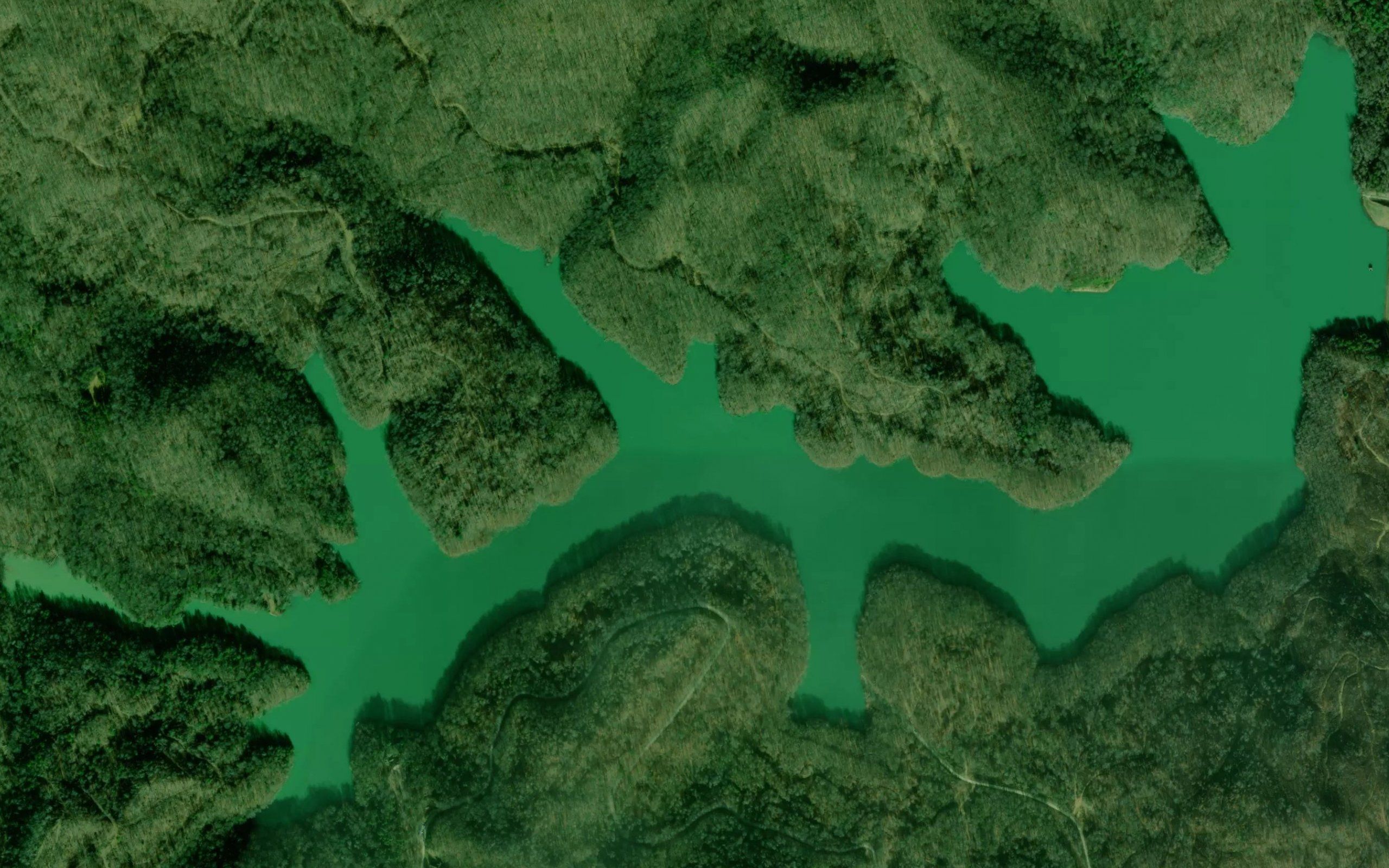 Cannon Creek Lake