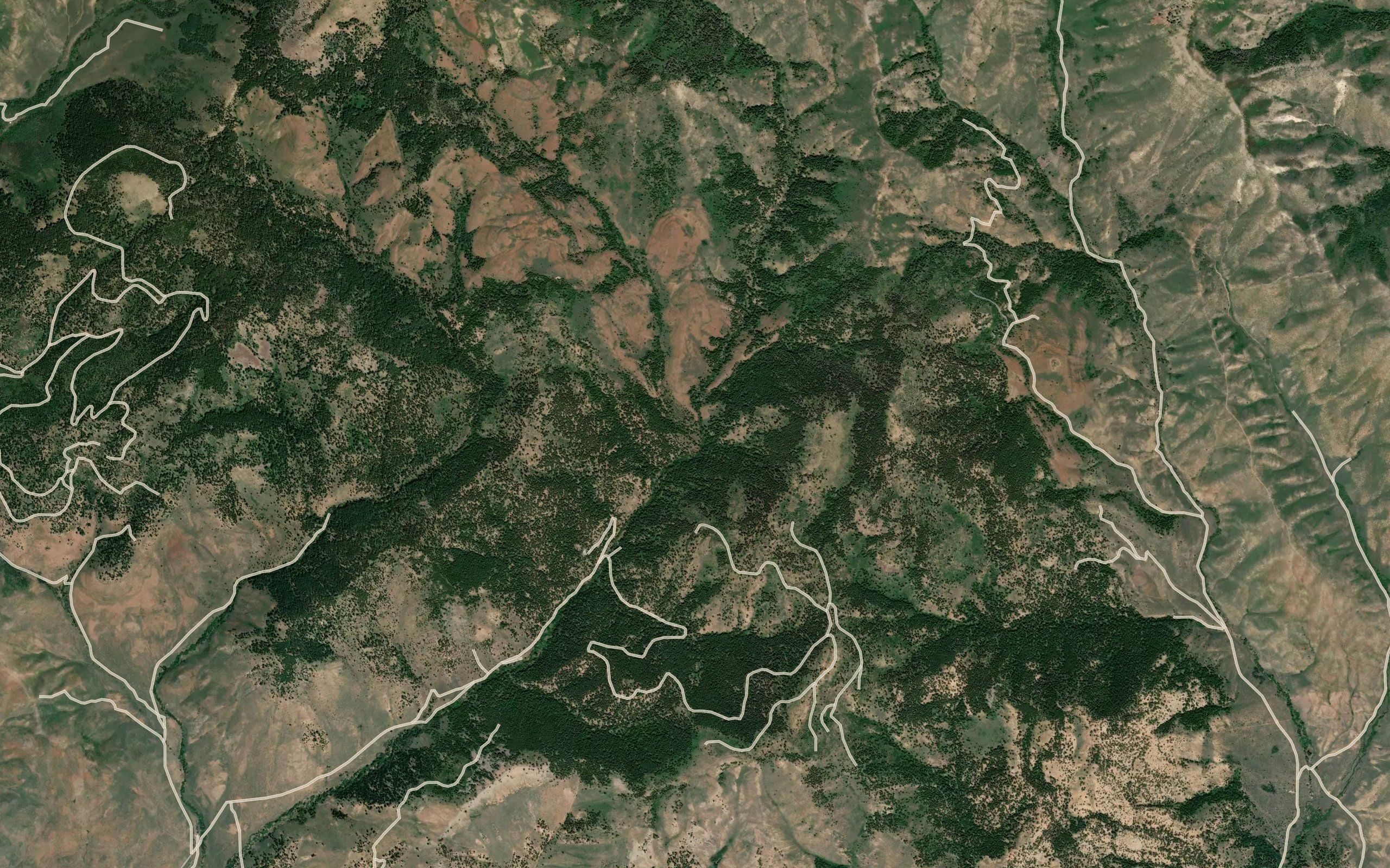 Chicken Creek