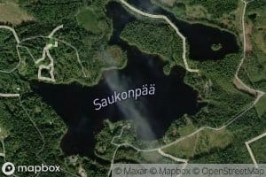 Saukonpaa