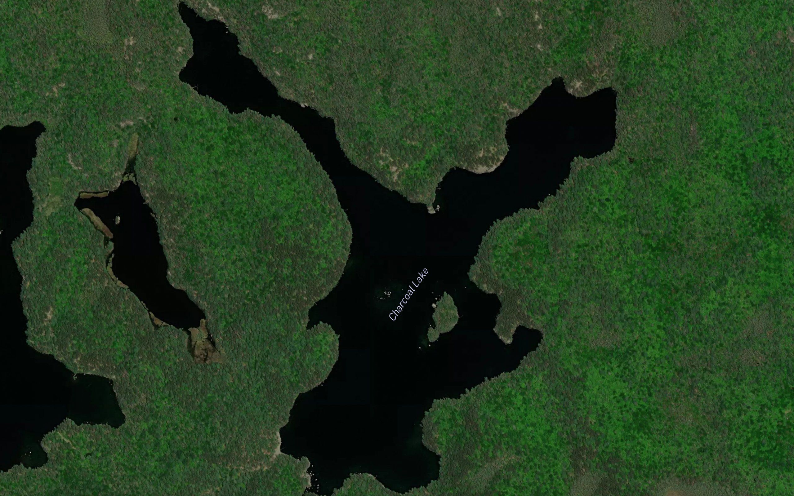 Charcoal Lake