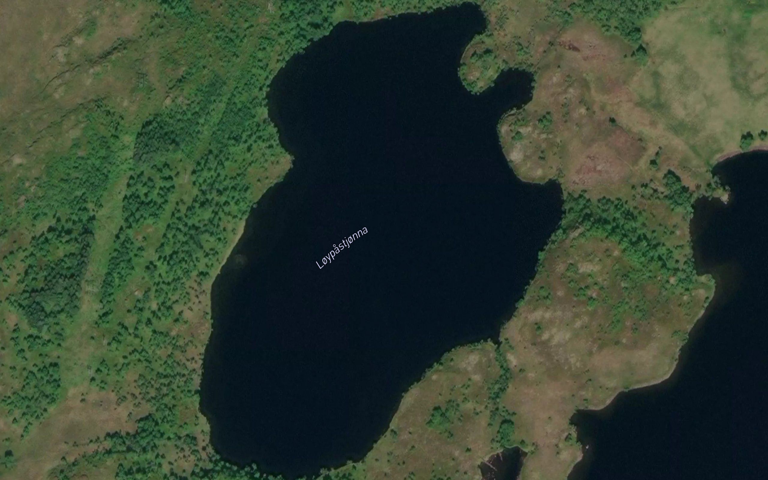 Loypastjorna