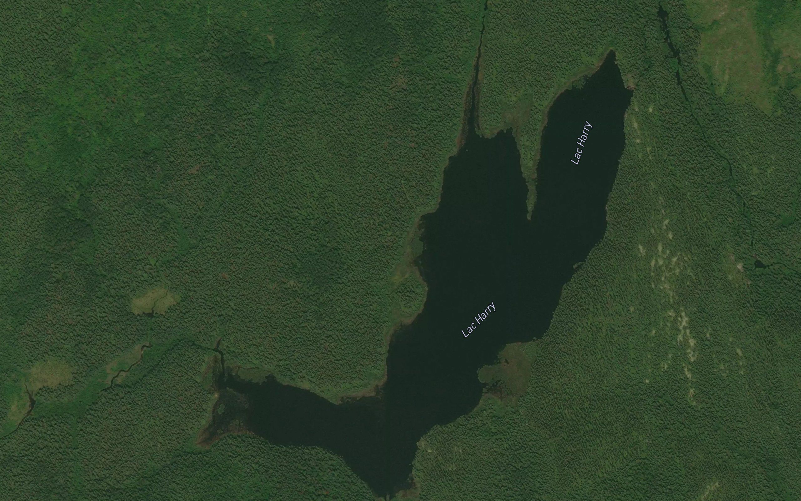 Lac Harry