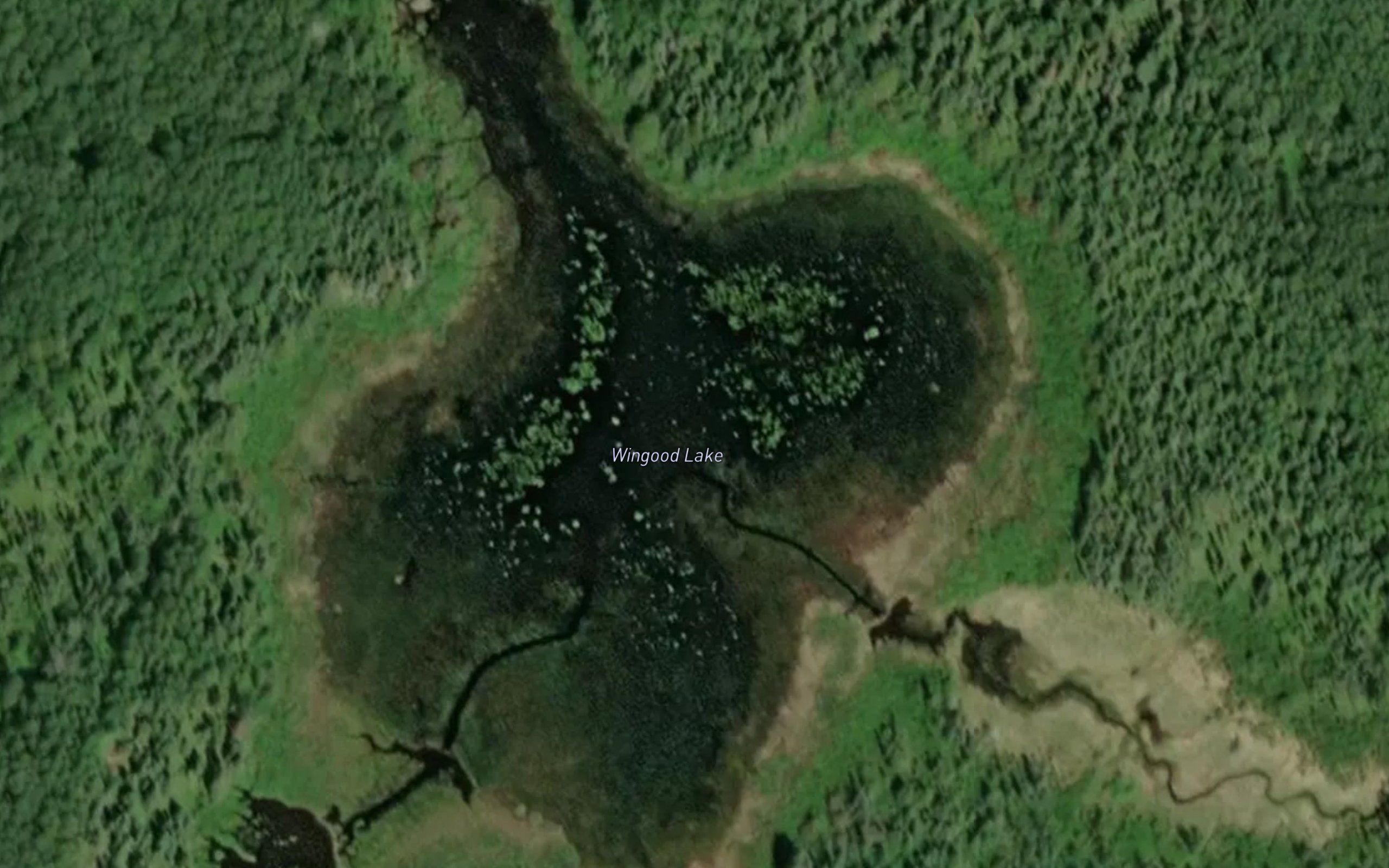 Wingood Lake
