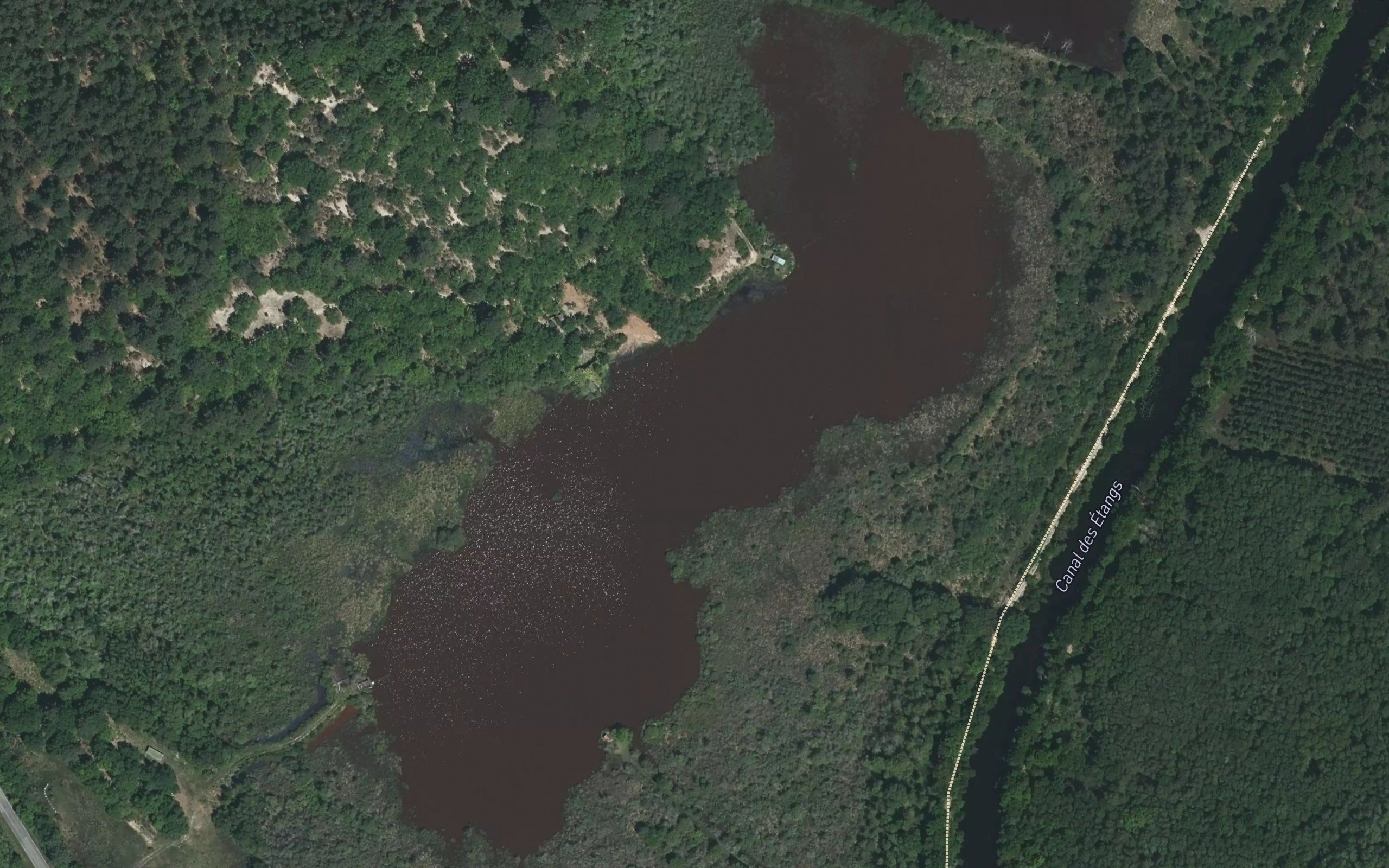 Etang de Batourtot