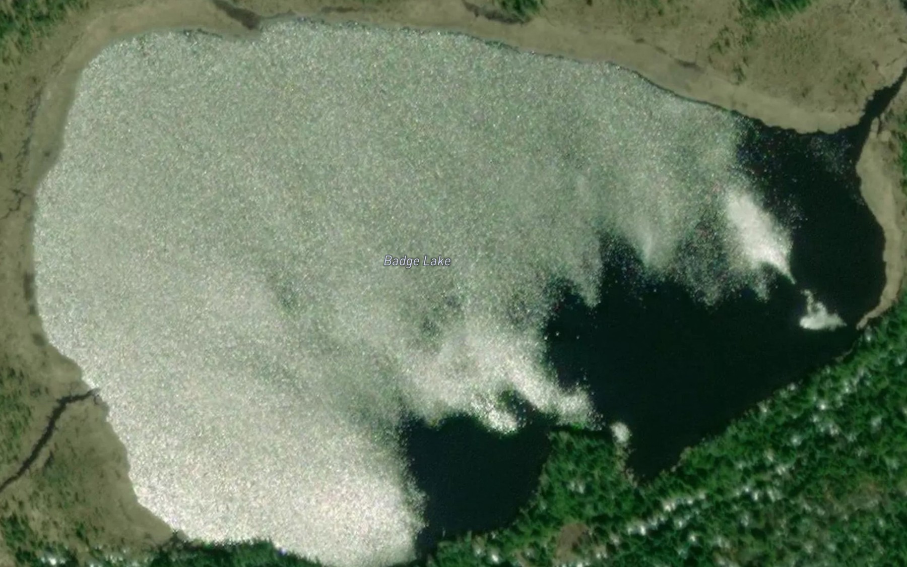 Satellite map of the Badge Lake
