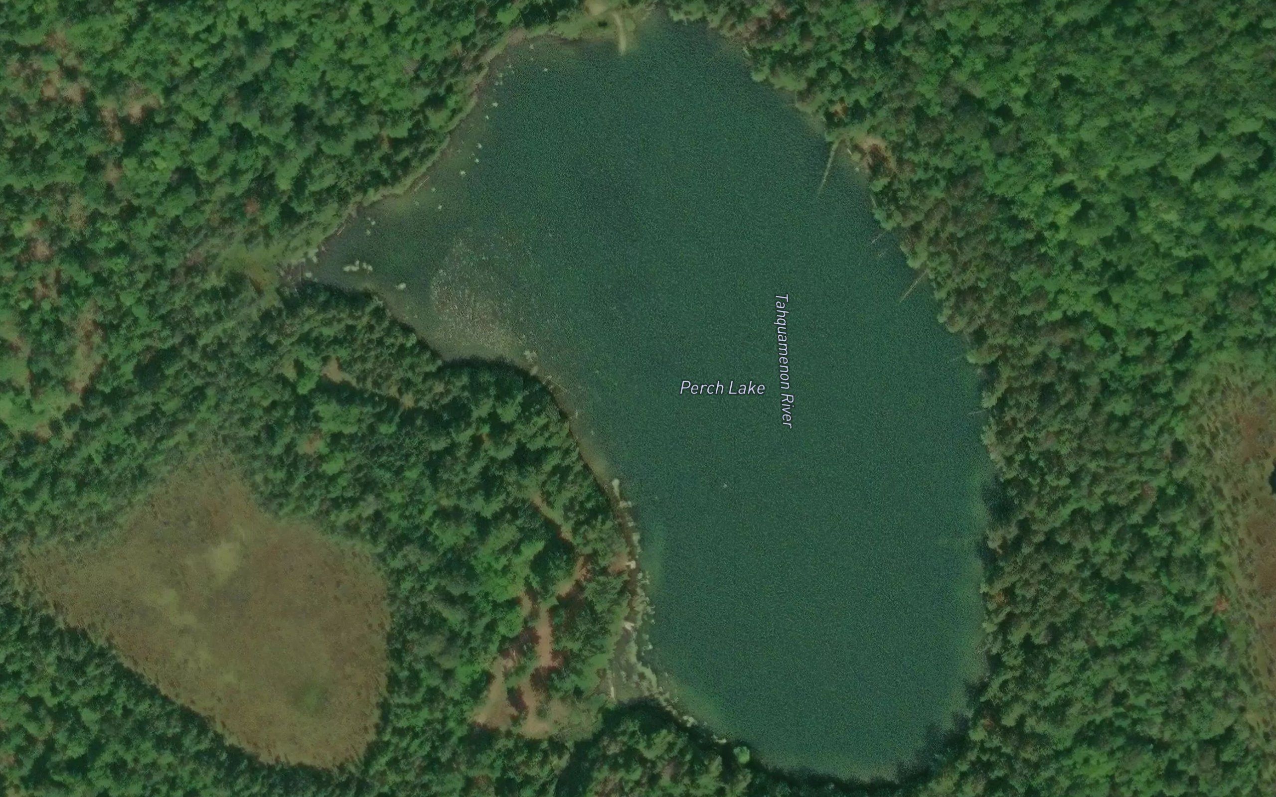 Perch Lake