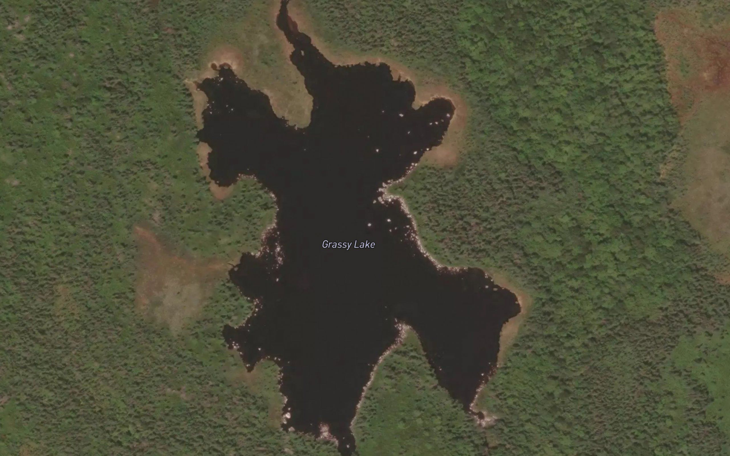 Grassy Lake
