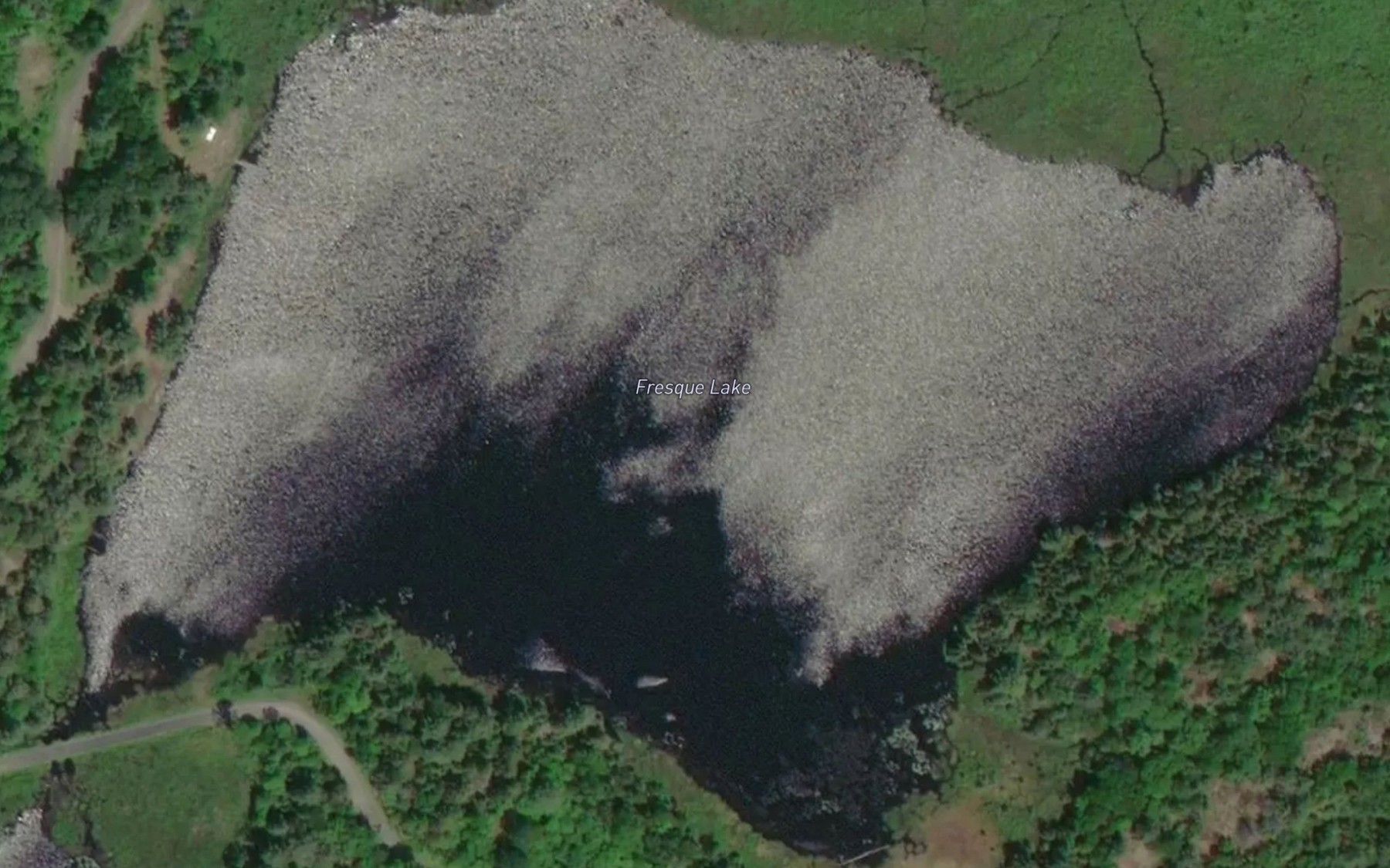 Satellite map of the Fresque Lake